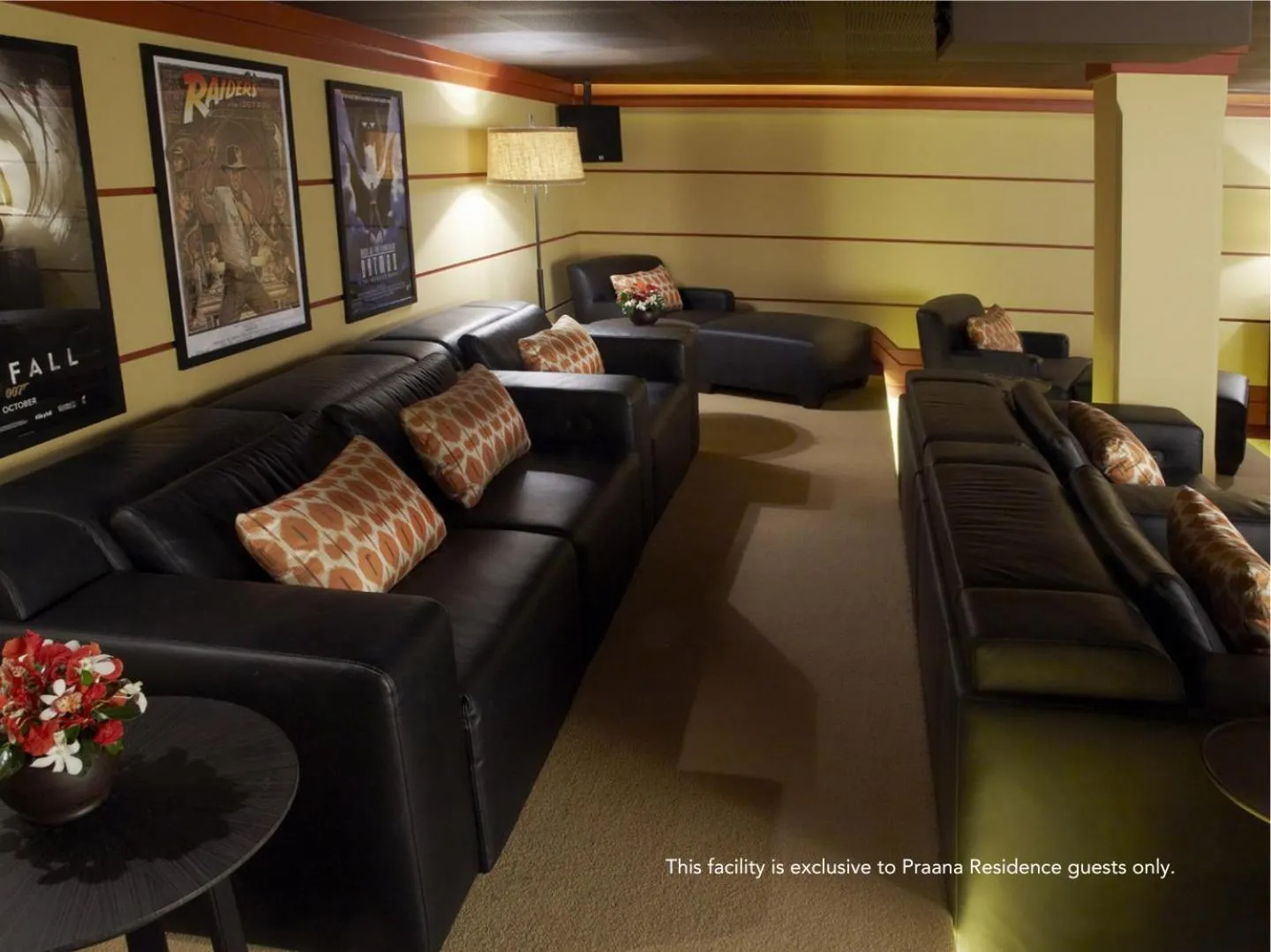 TV and multimedia in Panacea Retreat