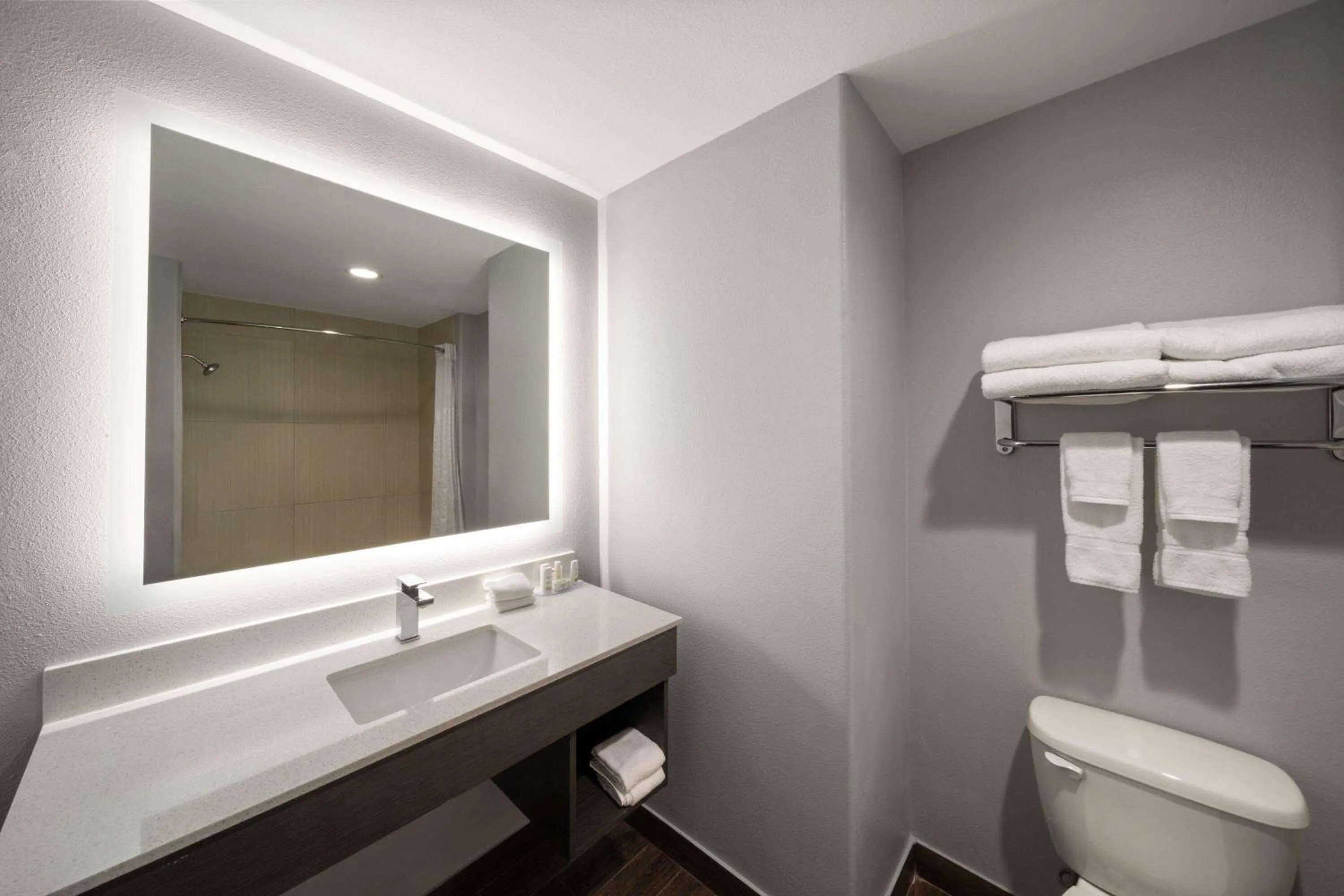 Bathroom in La Quinta by Wyndham McAlester