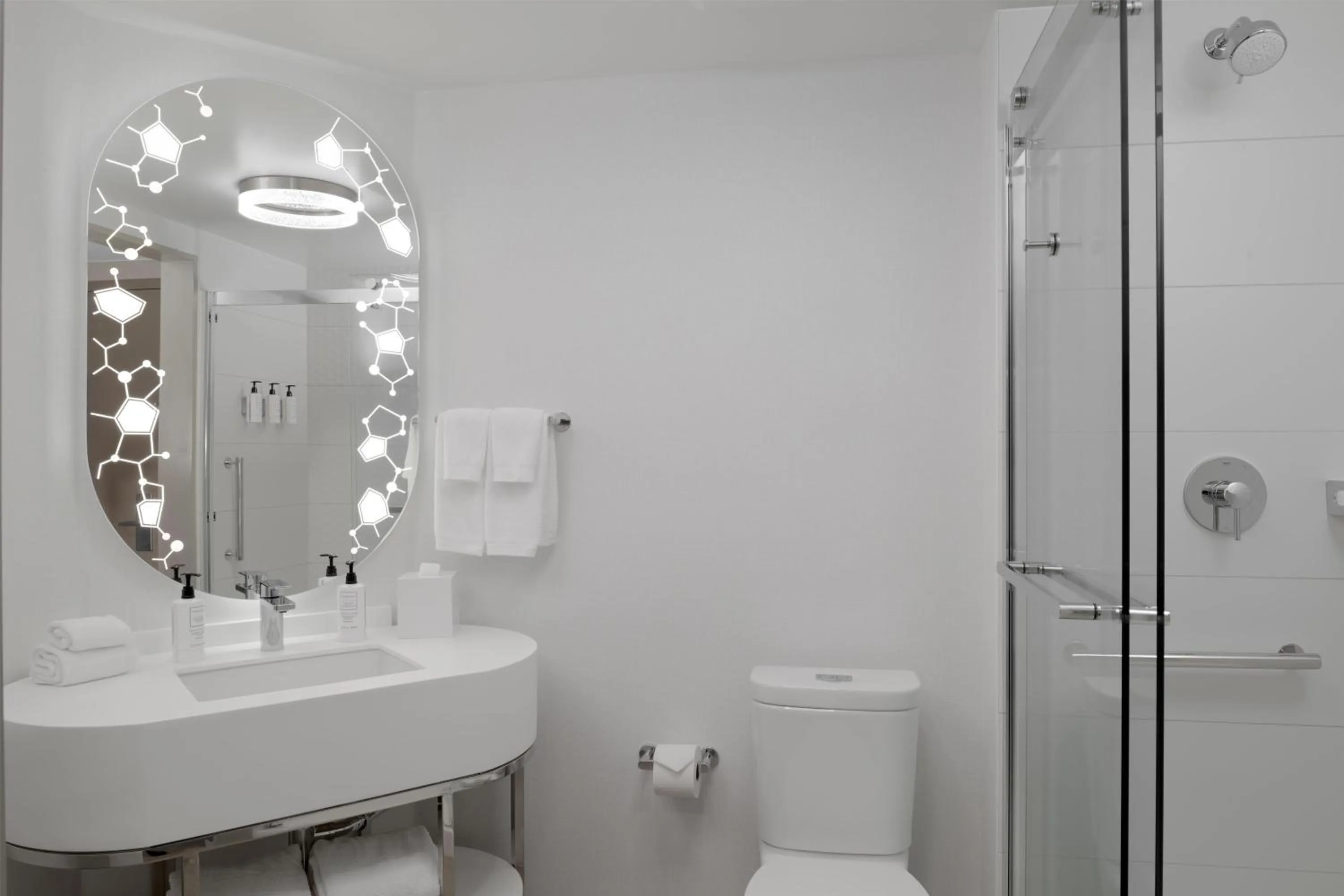 Bathroom in Hilton Santa Clara