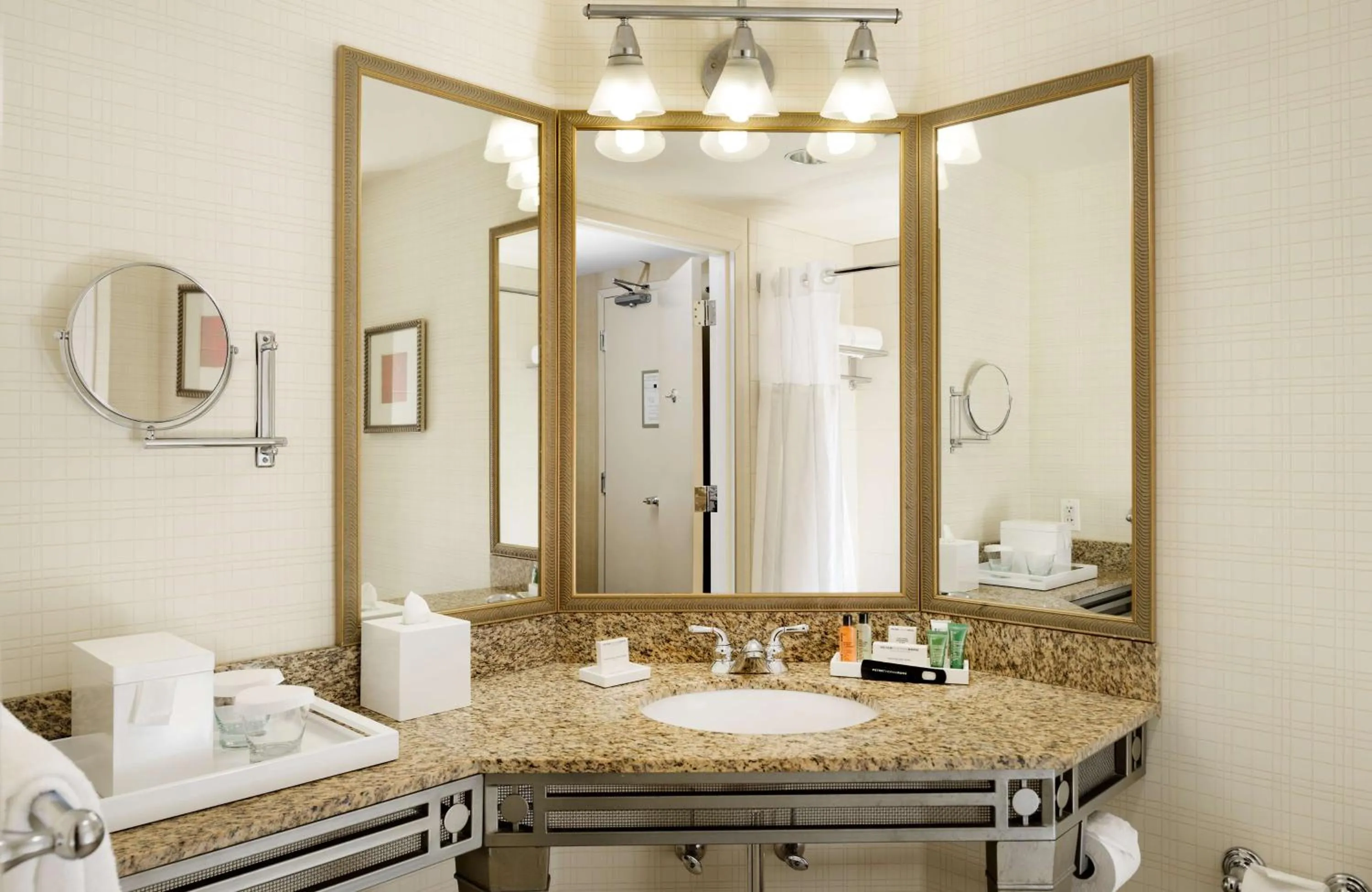 Bathroom in Hilton Santa Clara