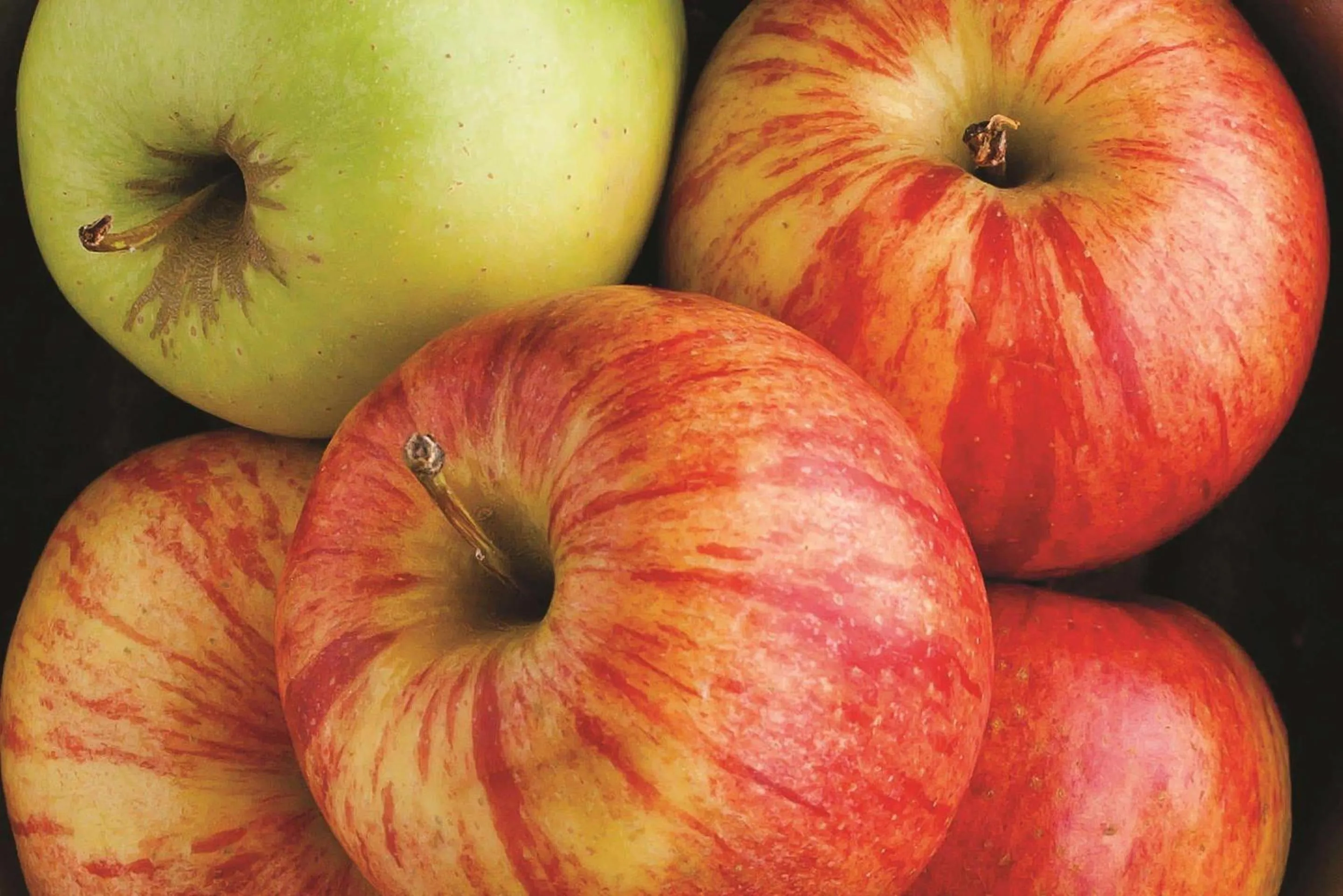 On site in La Quinta by Wyndham Glen Rose