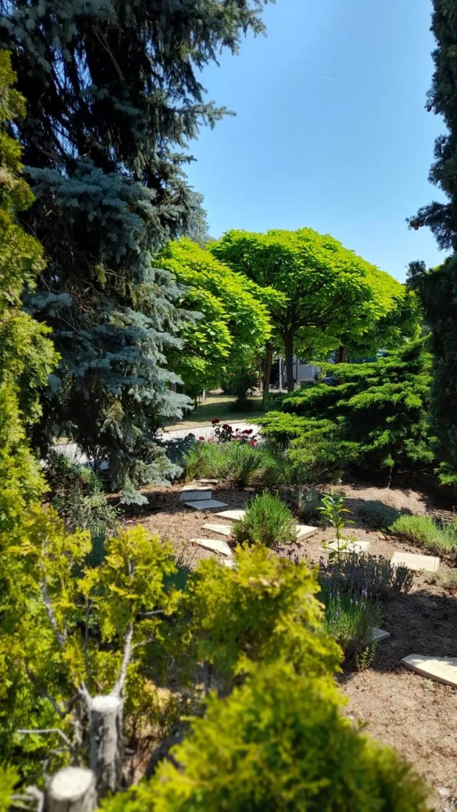 Natural landscape in Gästehaus Eschment
