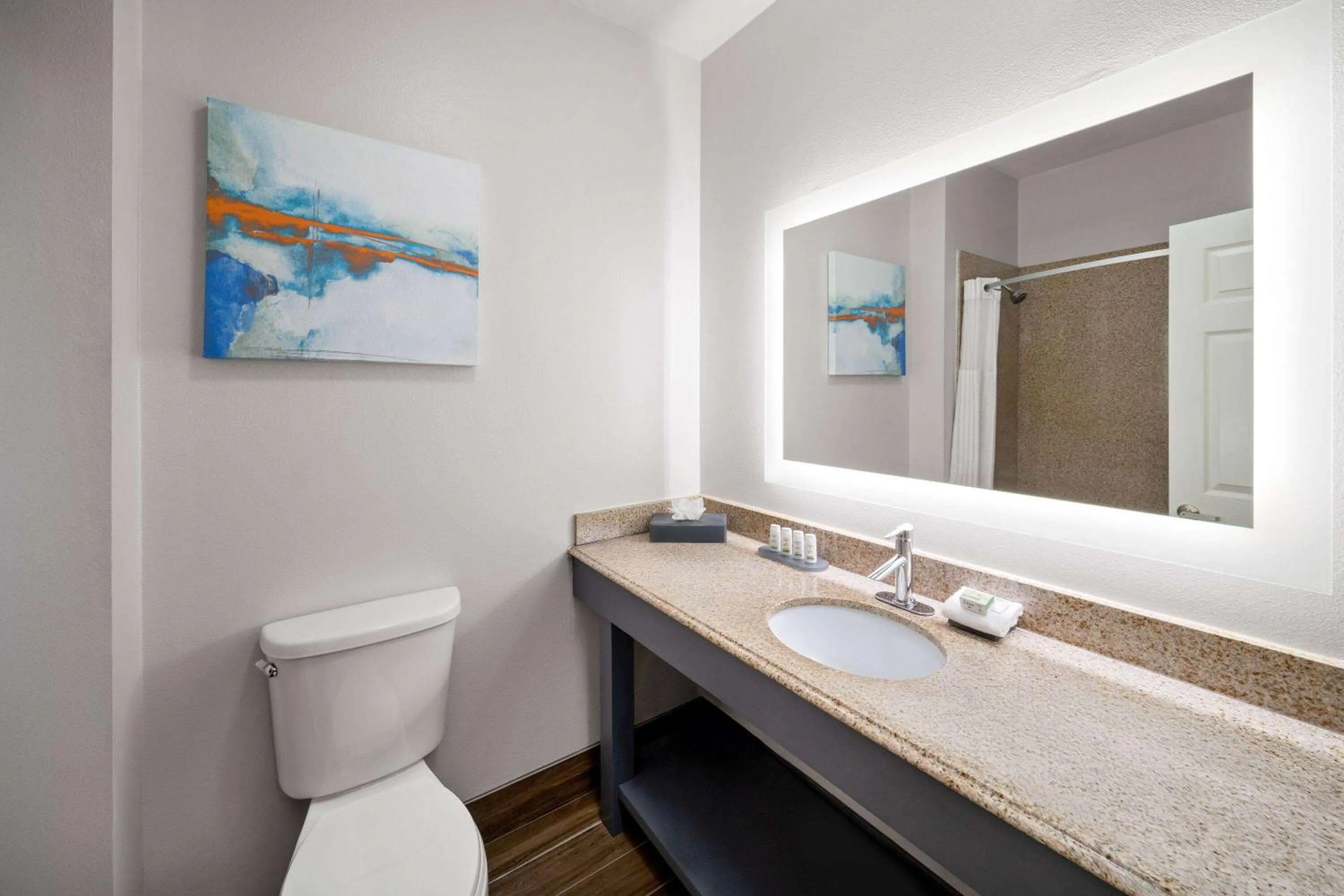 Bathroom in La Quinta by Wyndham Angleton