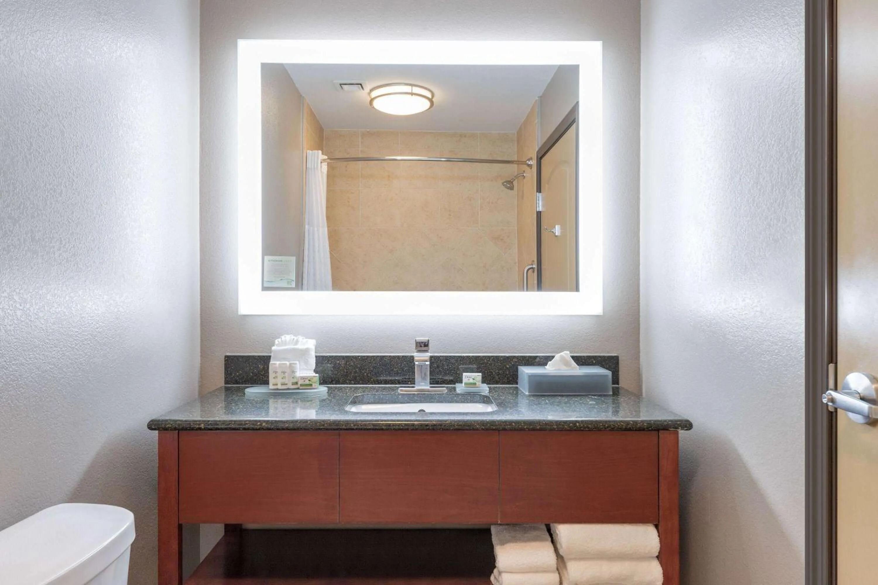 Bathroom in La Quinta by Wyndham Woodway - Waco South