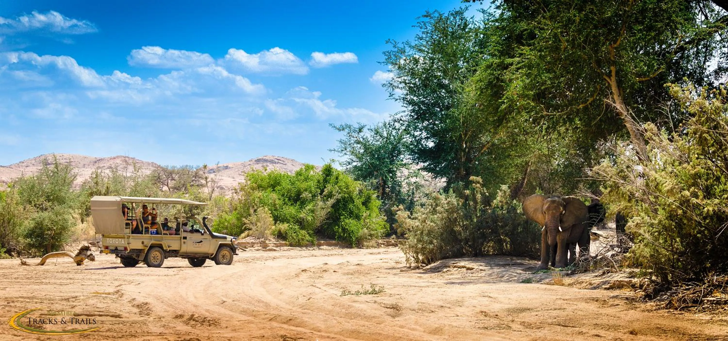 Activities in Ozondjou Trails