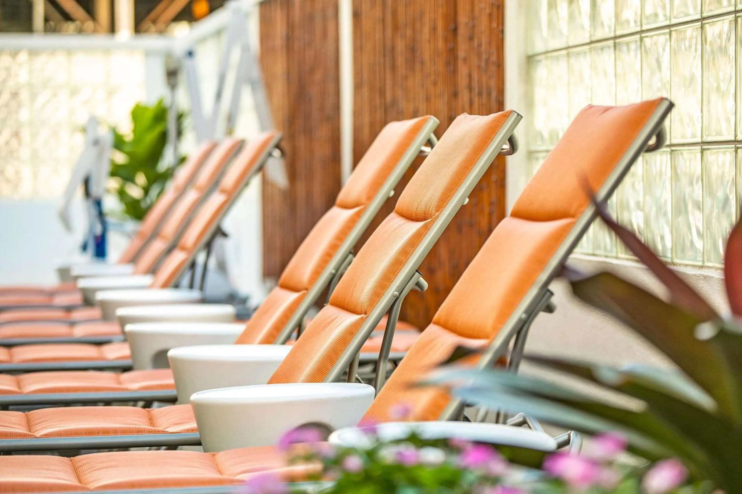sunbed in Oasis Hotel Waikiki