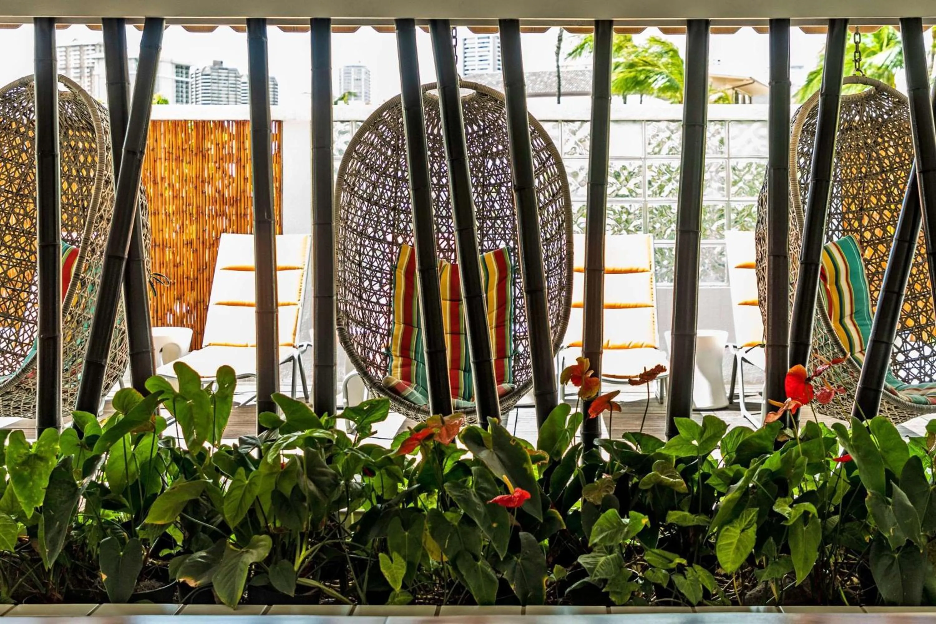 sunbed in Oasis Hotel Waikiki