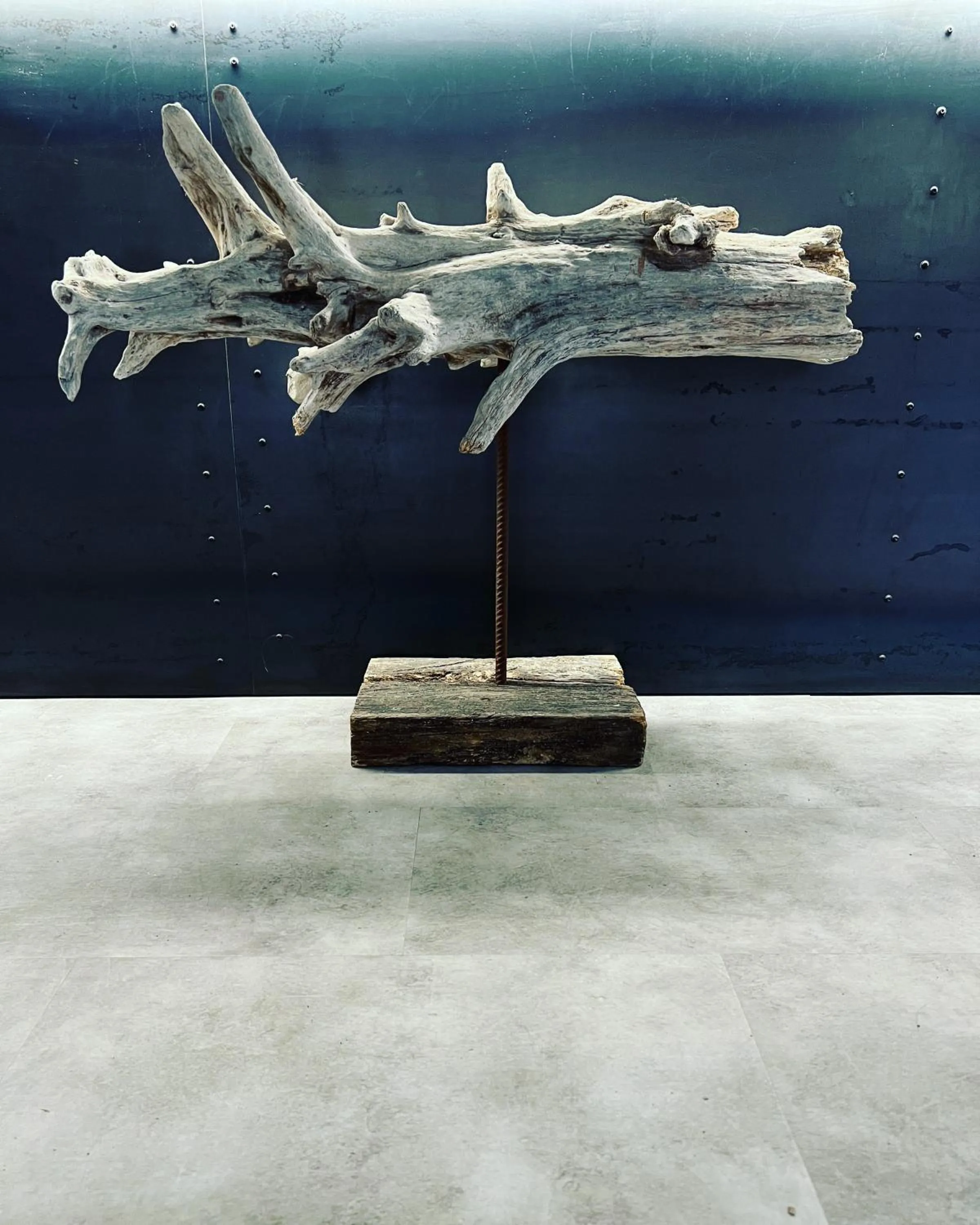 Restaurant/places to eat in Albergo Wellness Da Febo