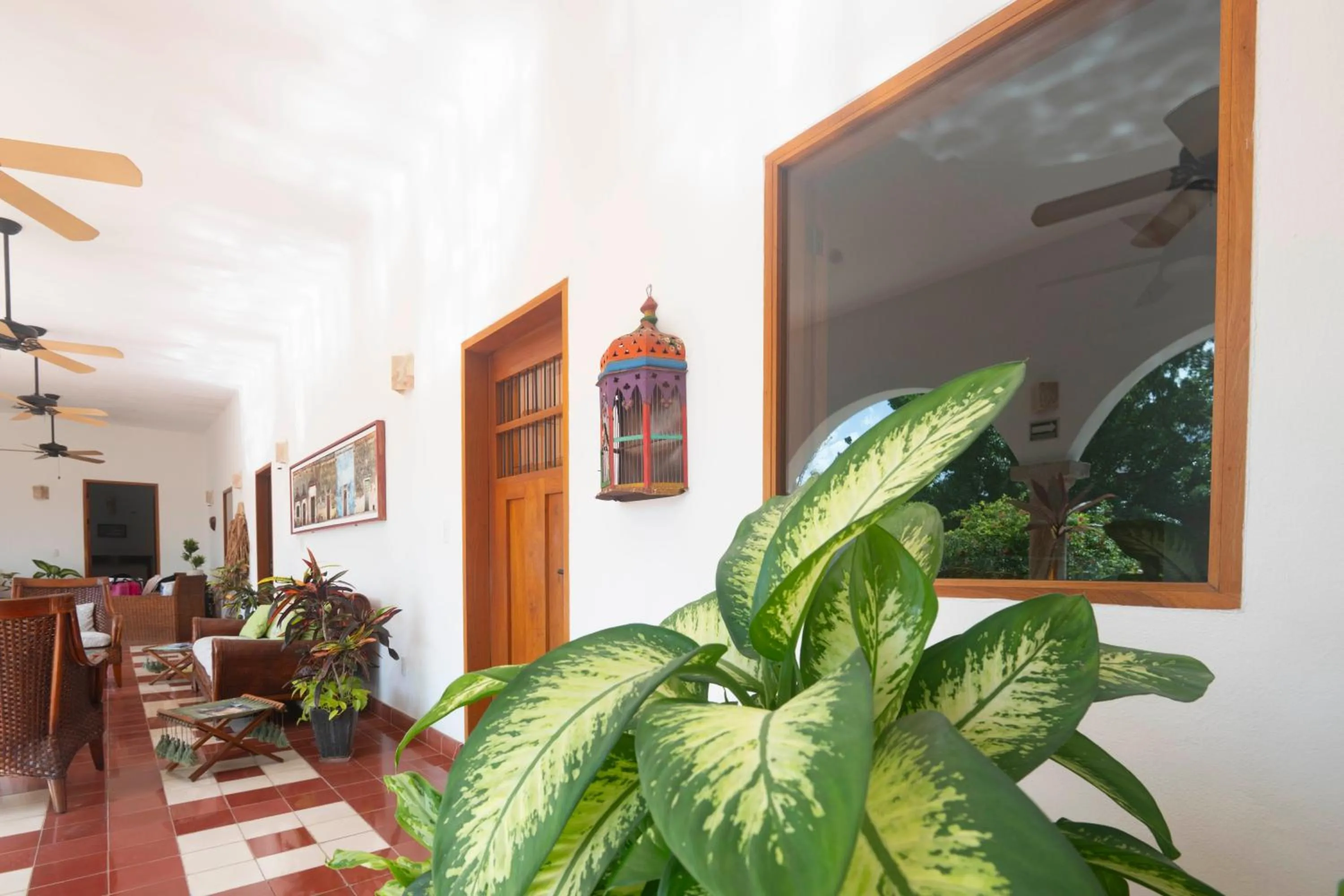 Area and facilities in Hotel Posada San Juan