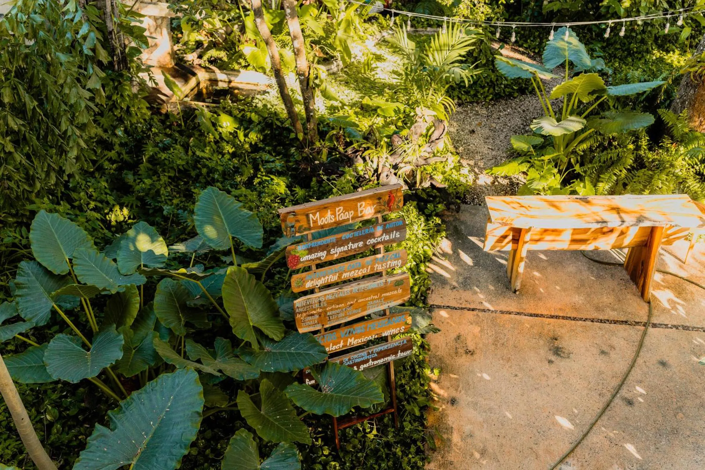 Lounge or bar in Hotel Posada San Juan