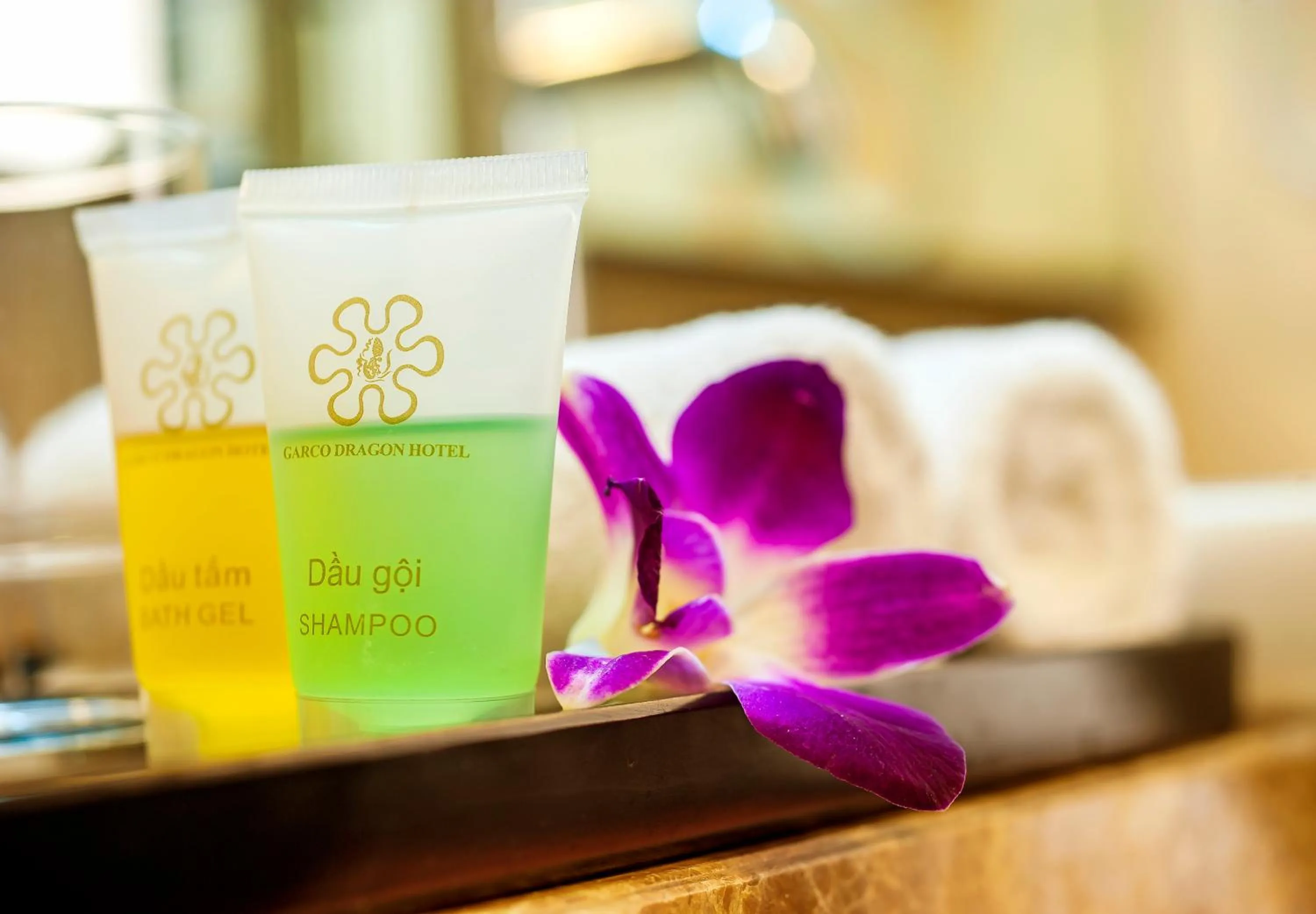 Area and facilities in Garco Dragon Hotel