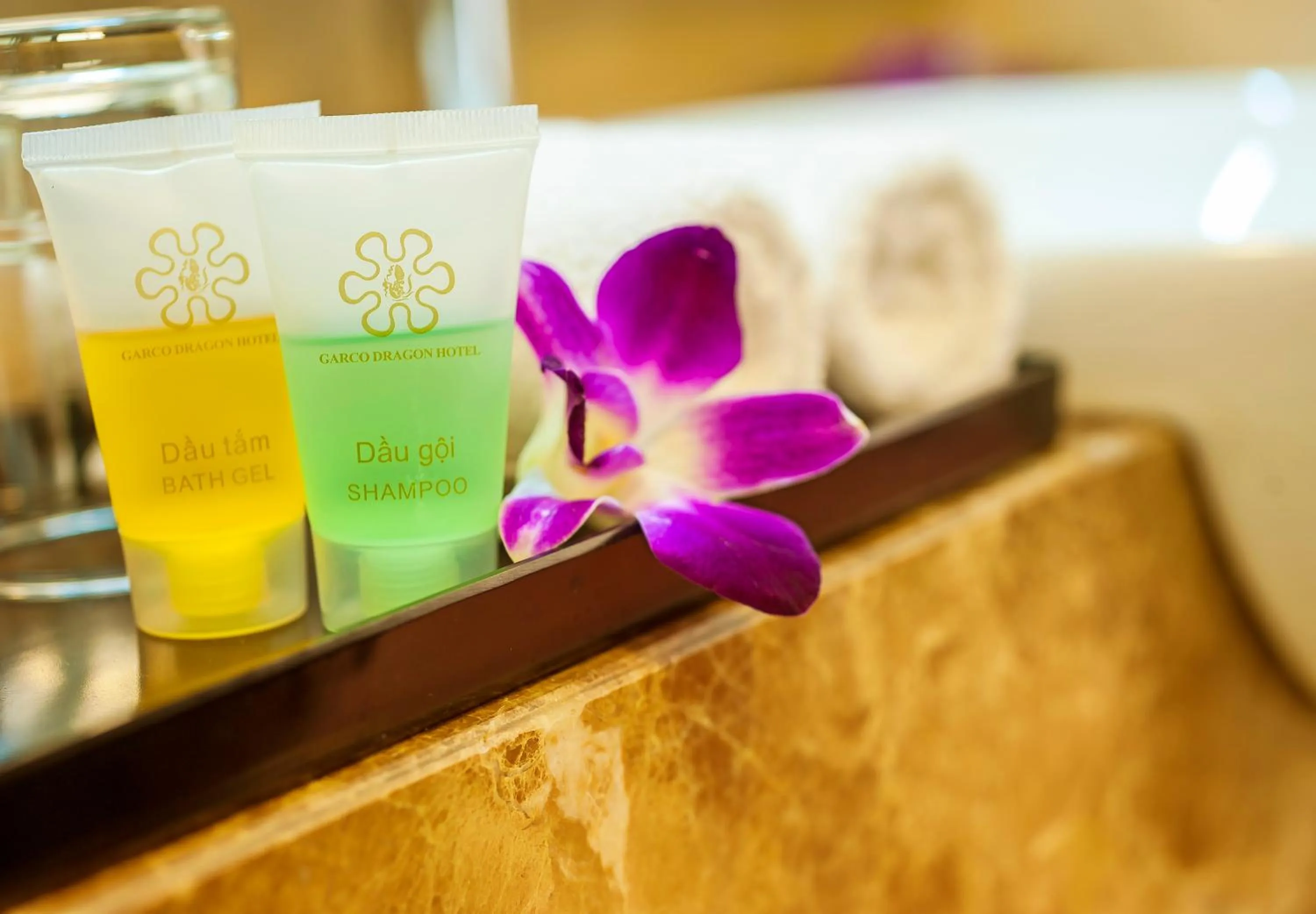 Area and facilities in Garco Dragon Hotel