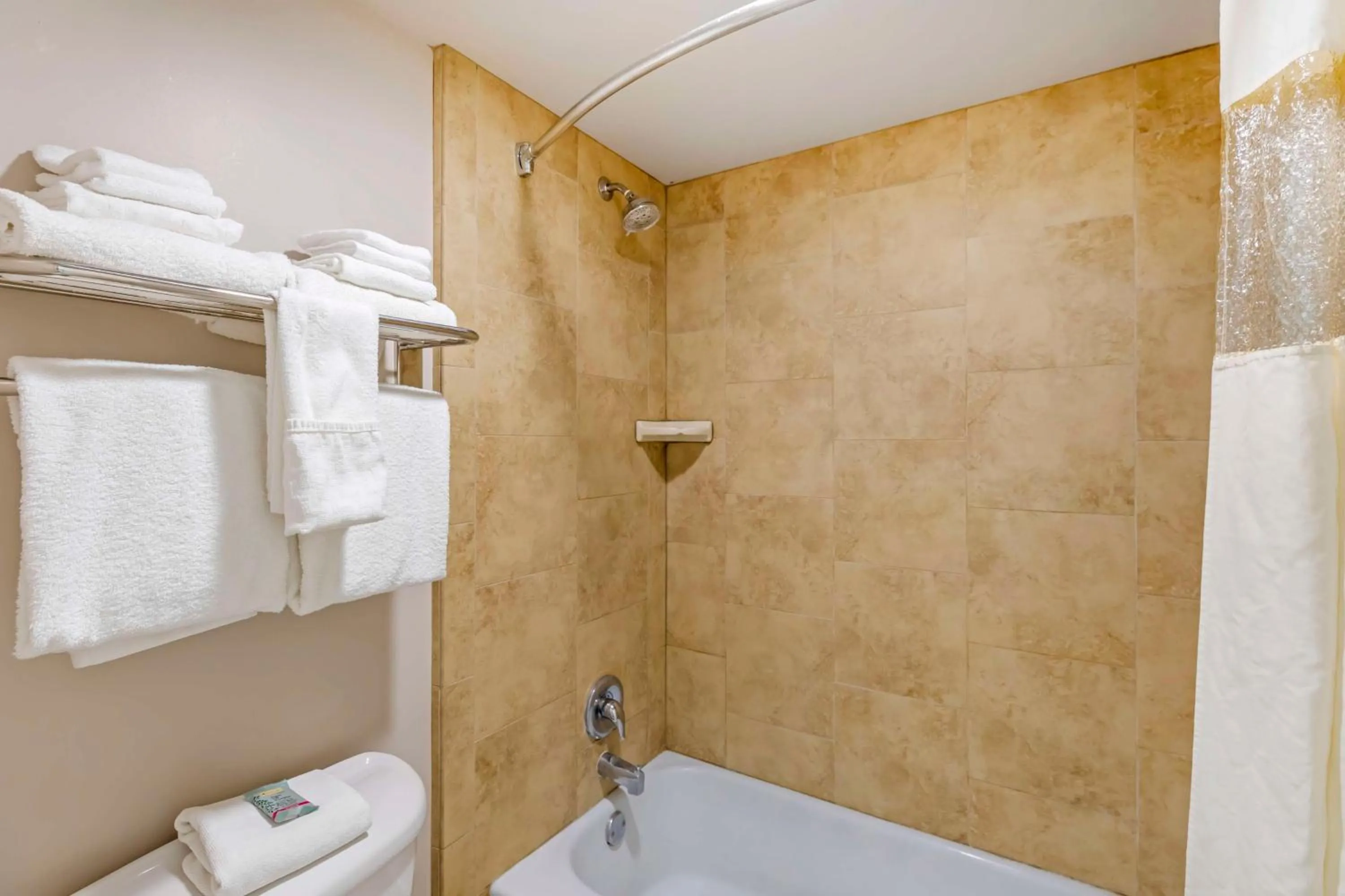 Bathroom in Best Western Cotton Tree Inn