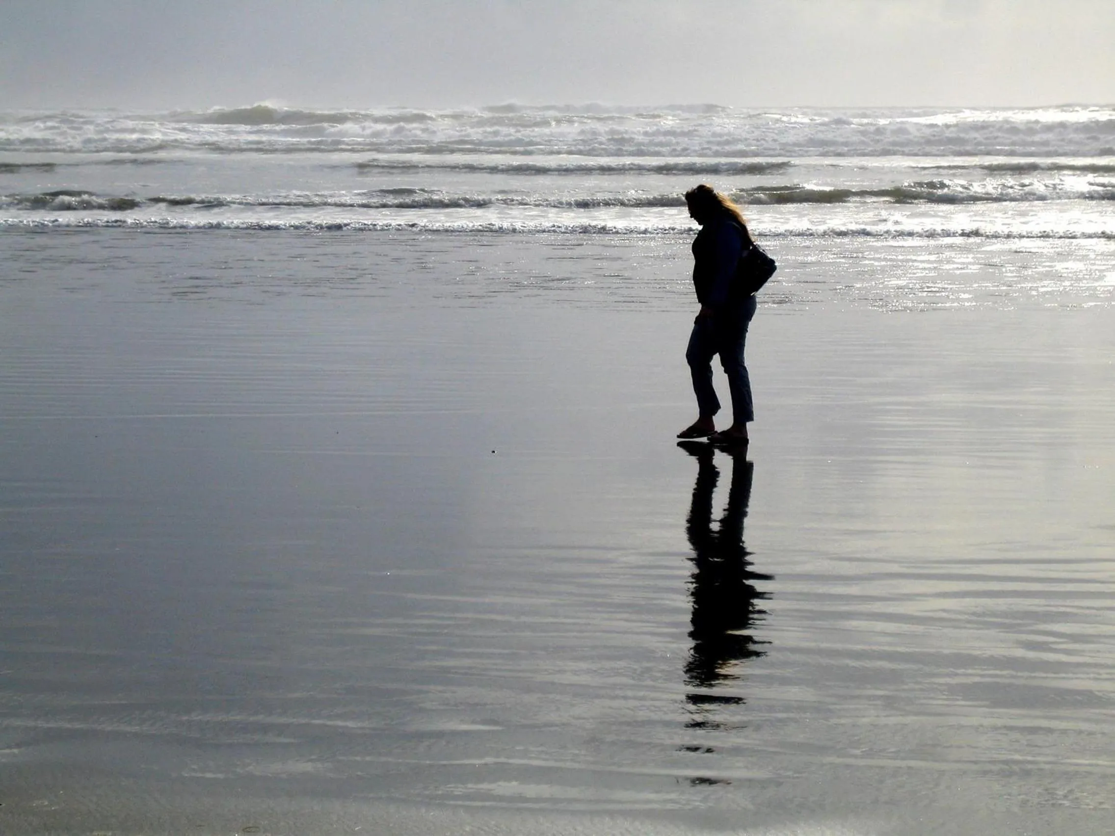 Activities in Grey Gull