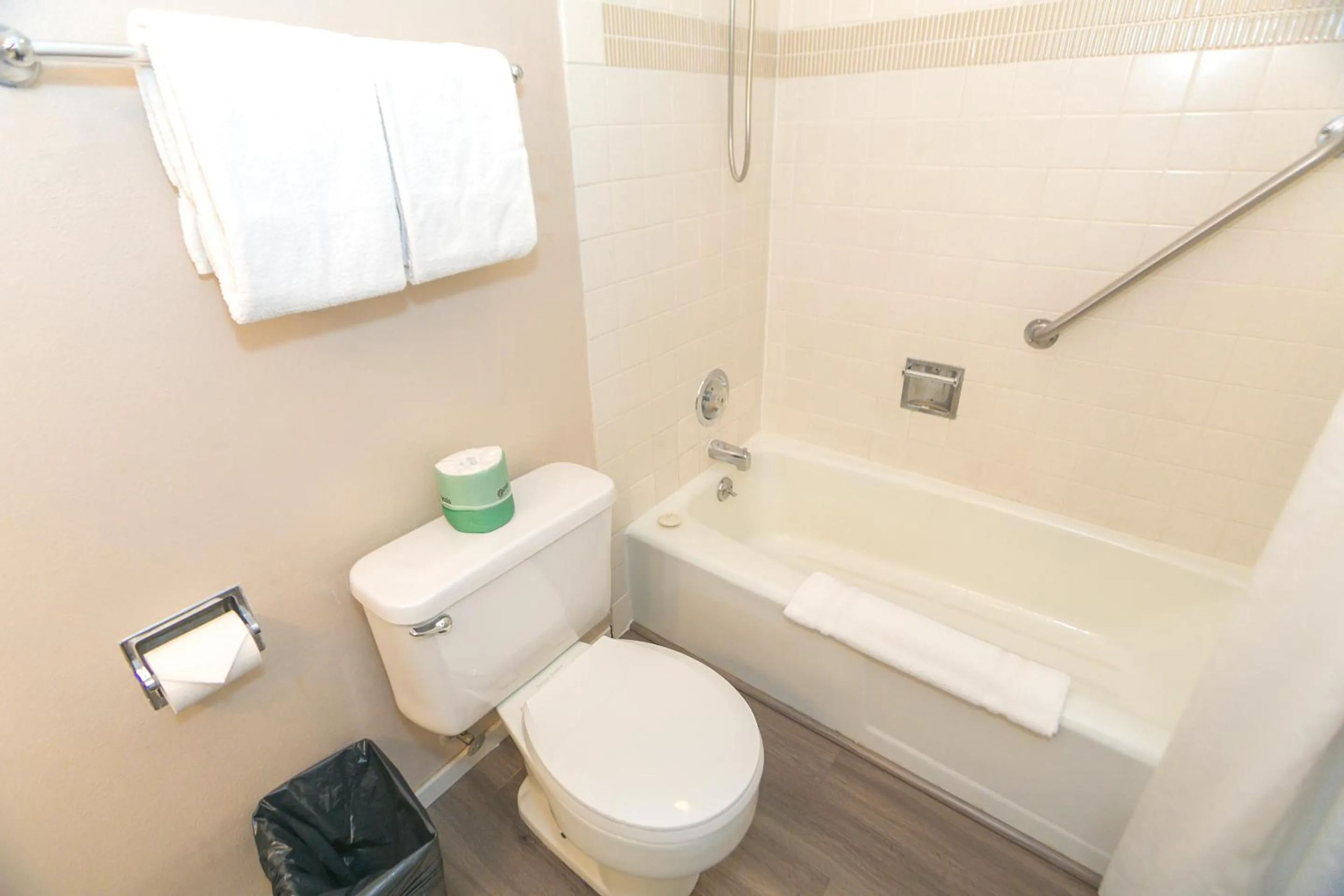 Bathroom in Grey Gull