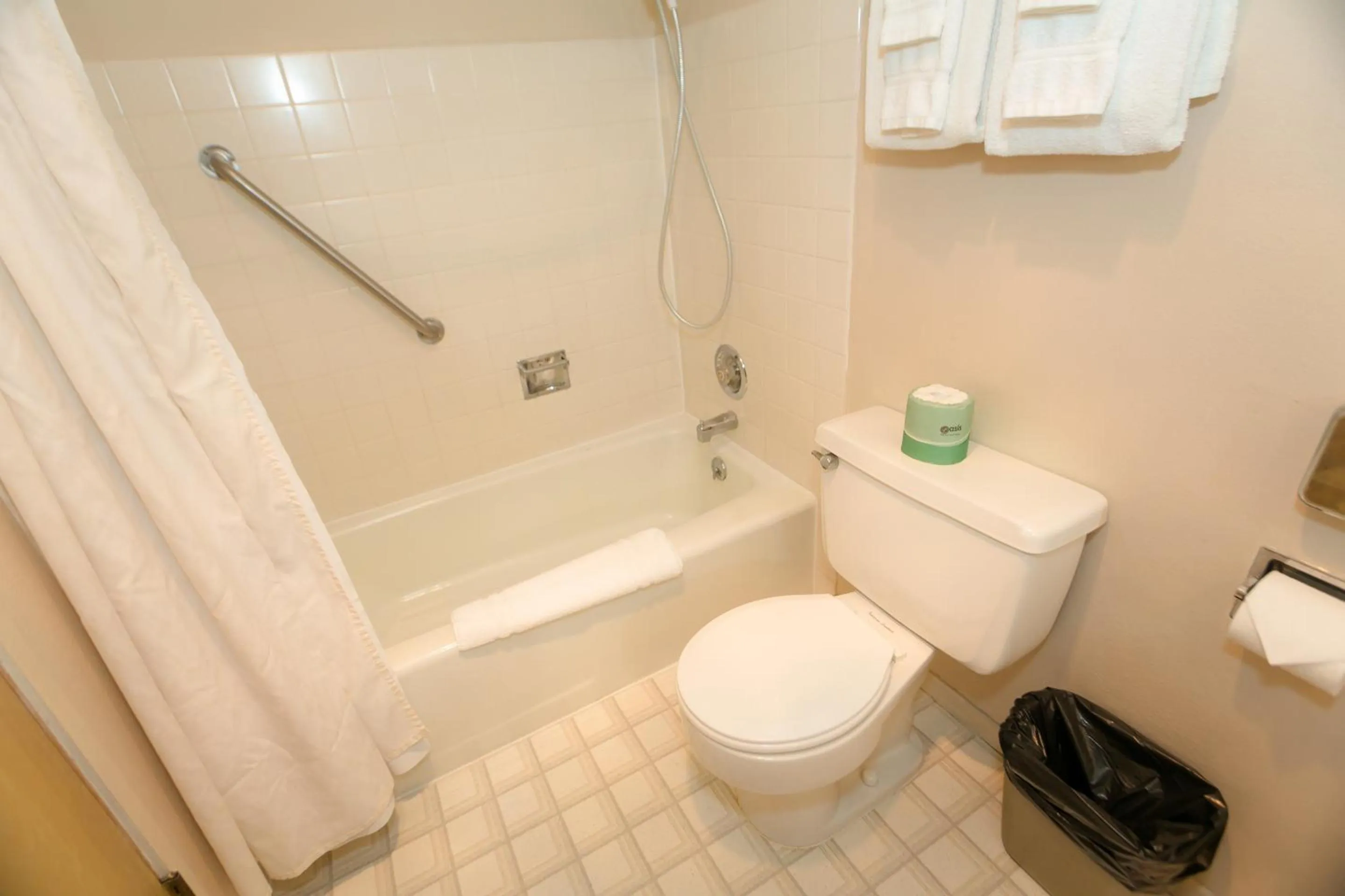 Bathroom in Grey Gull