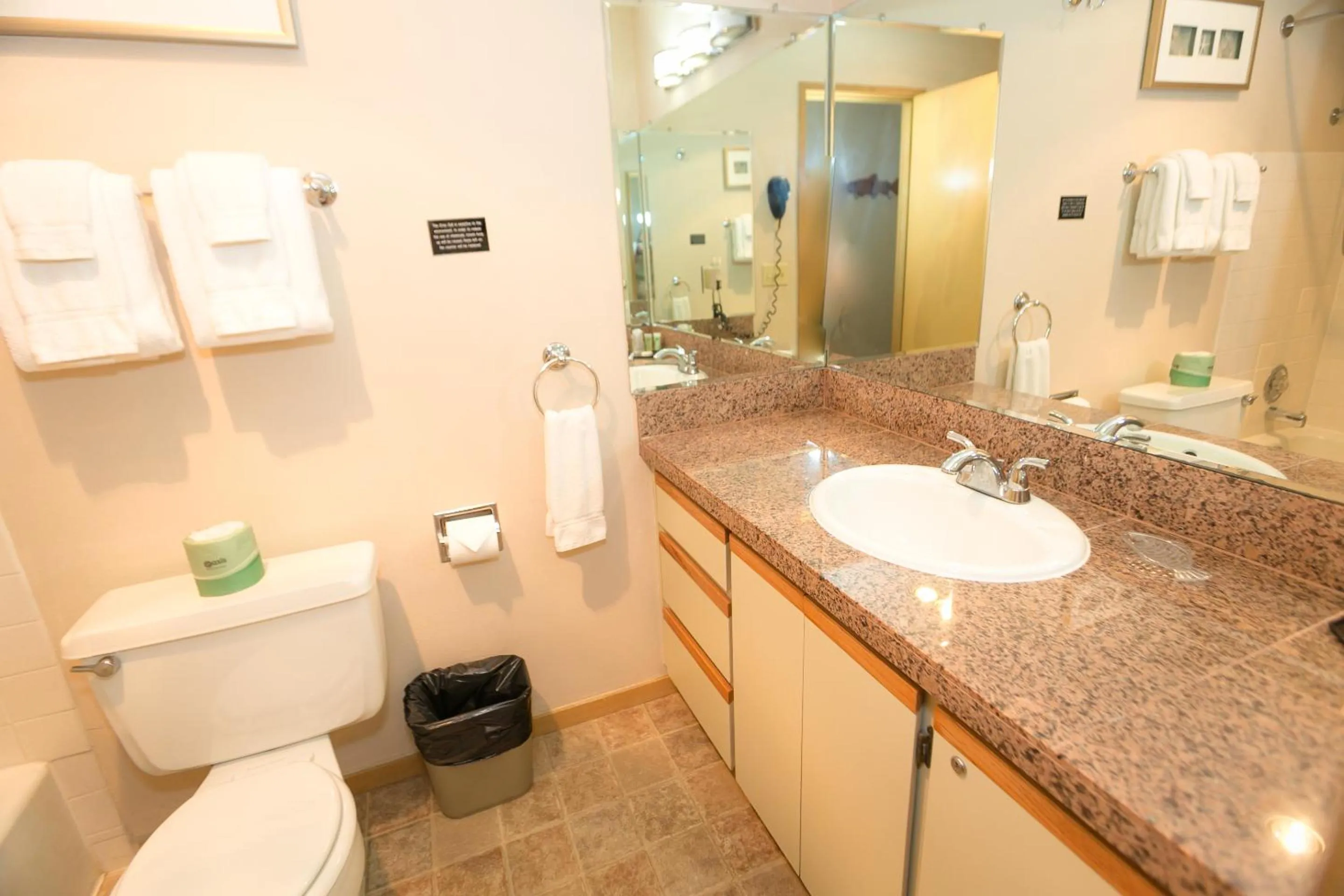 Bathroom in Grey Gull