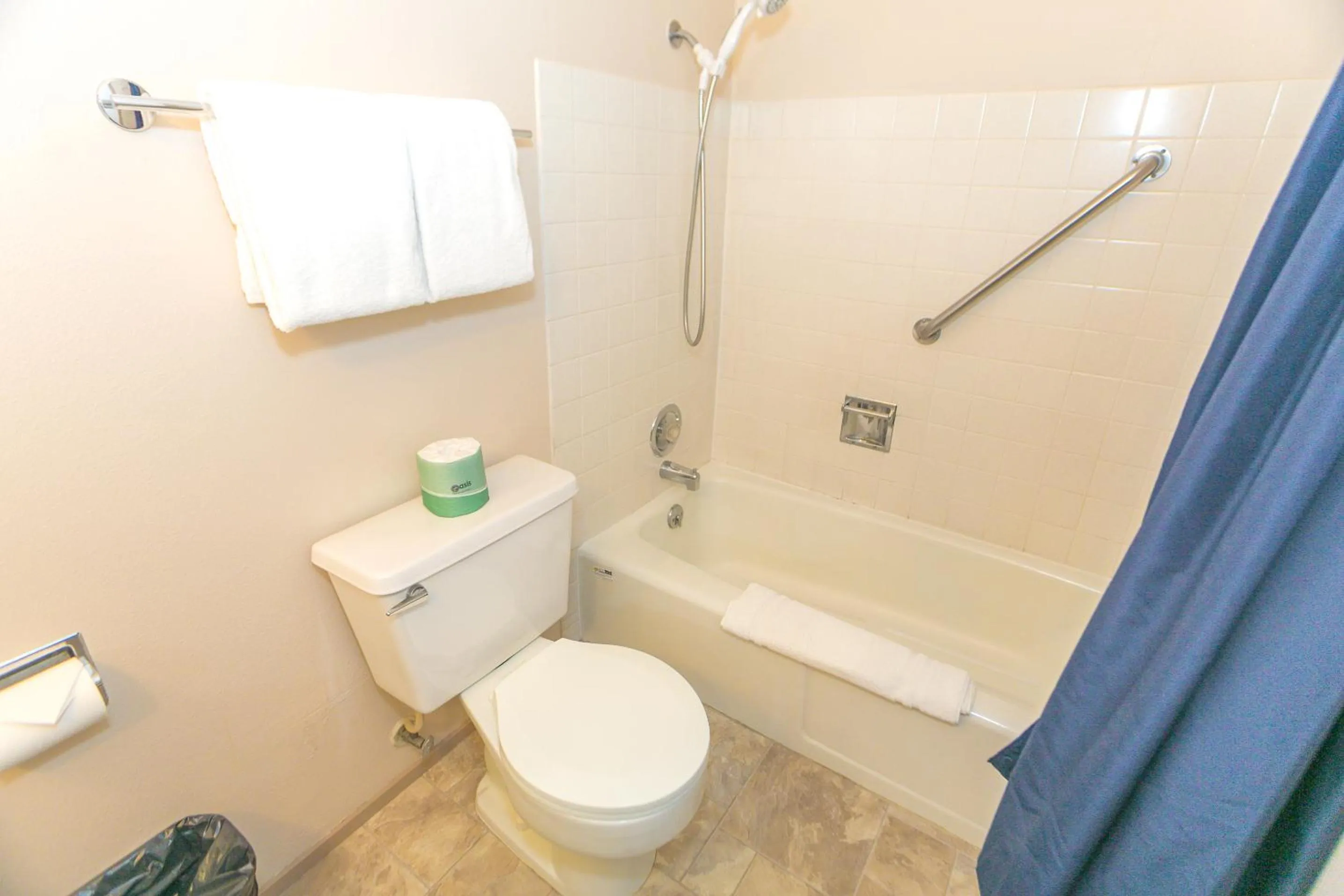 Bathroom in Grey Gull