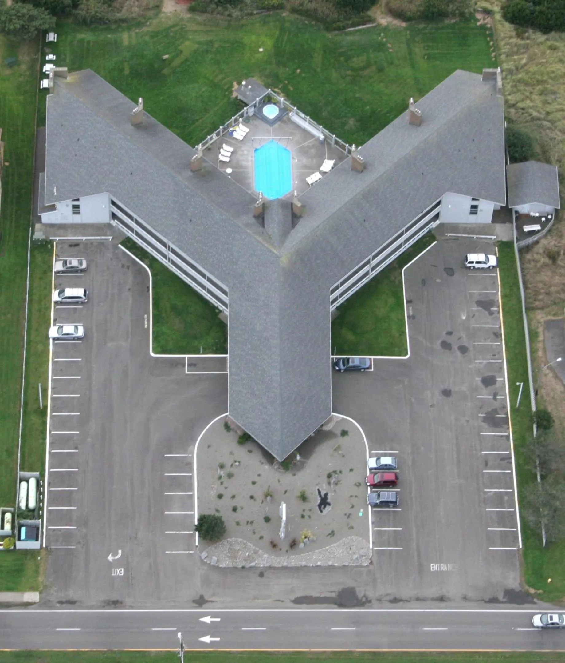 Bird's eye view in Grey Gull