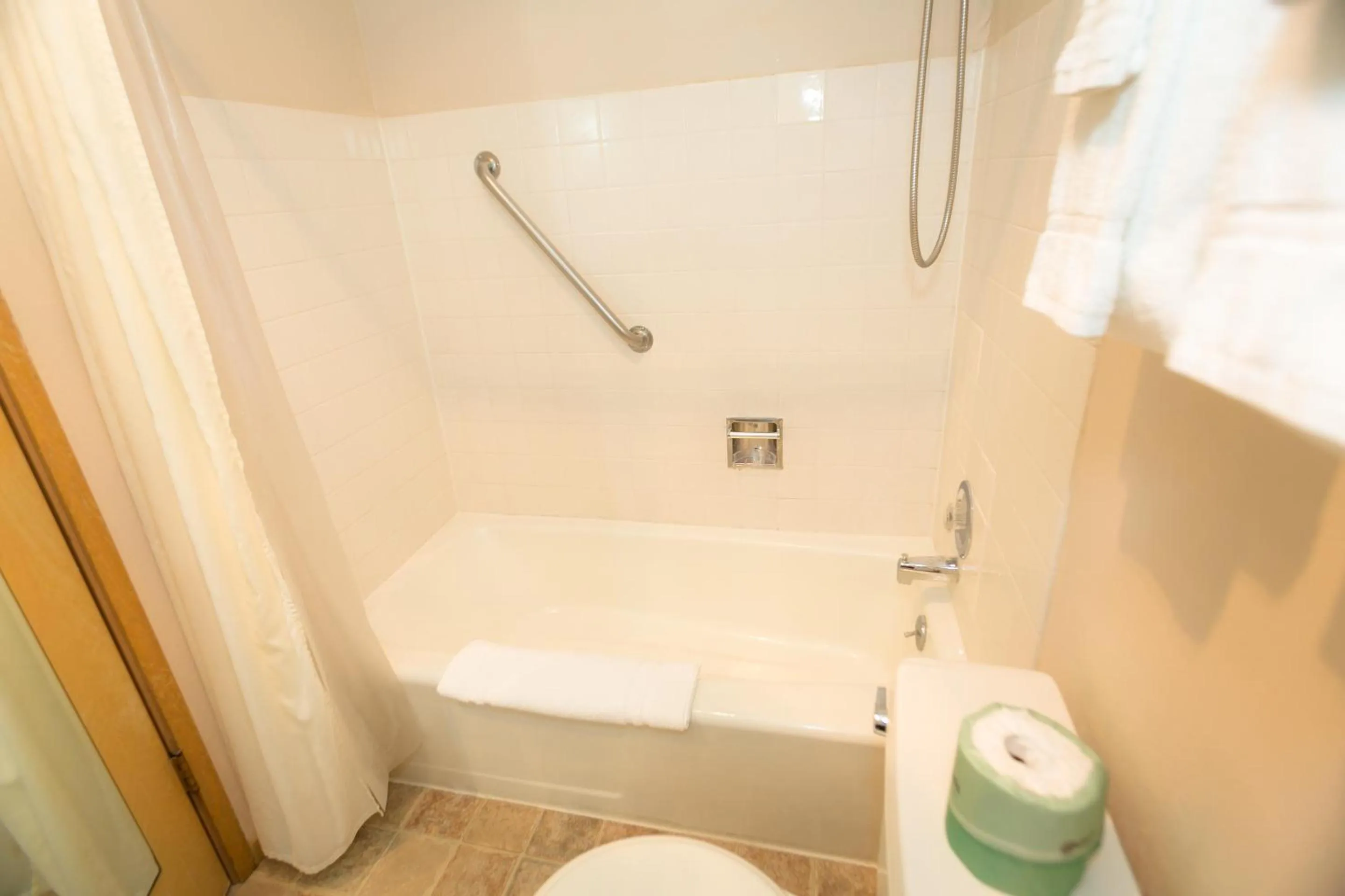 Bathroom in Grey Gull