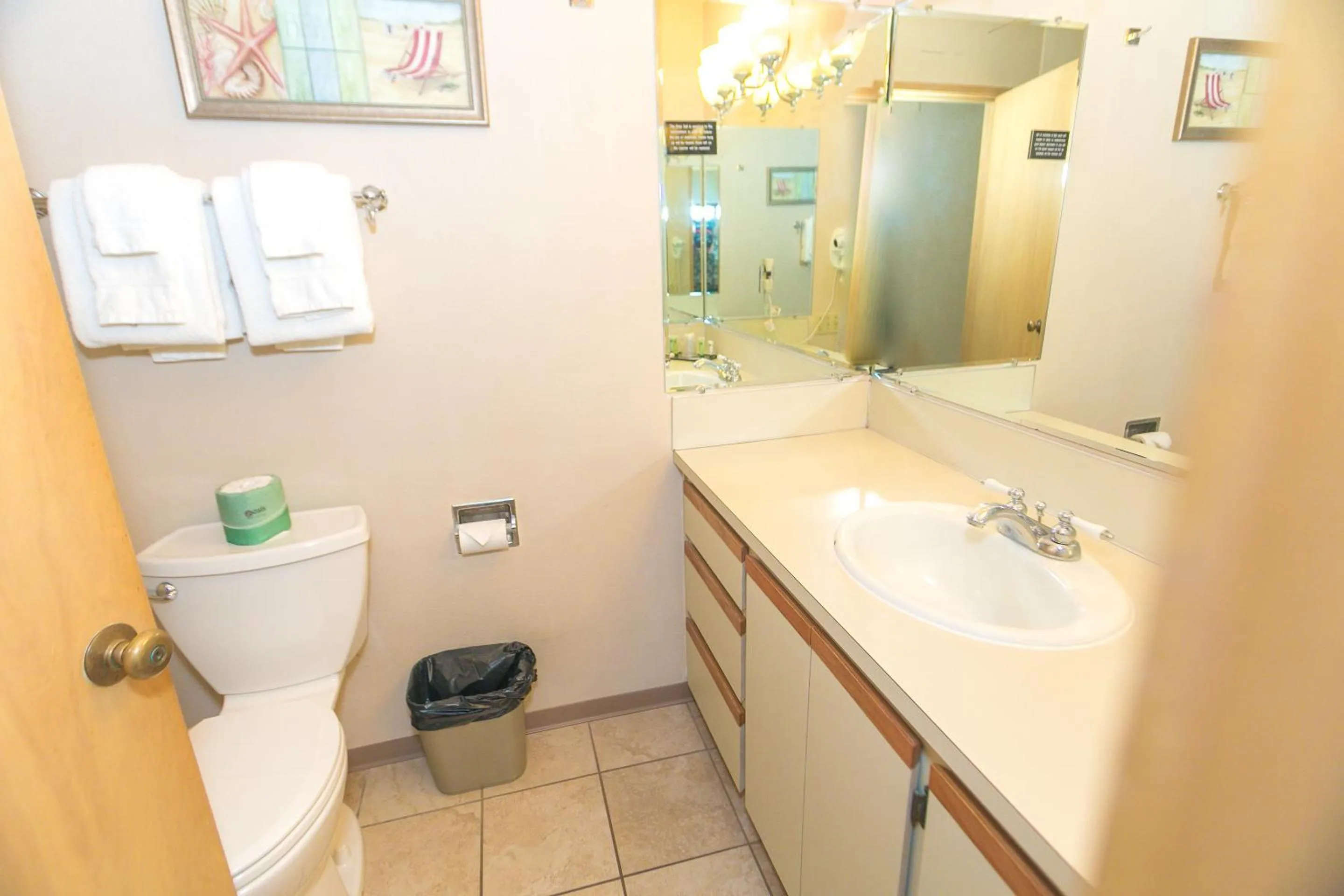 Bathroom in Grey Gull