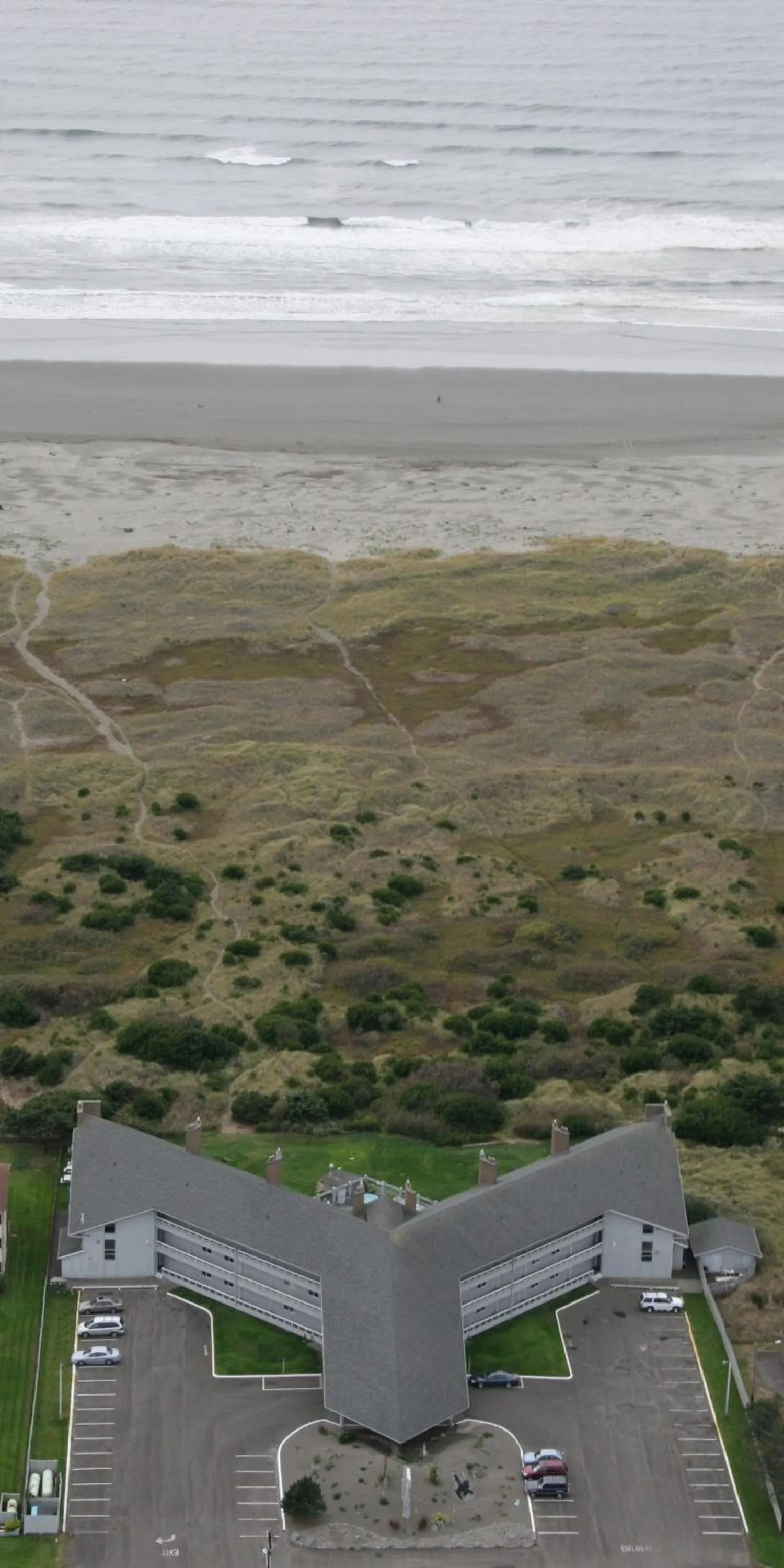 Bird's eye view in Grey Gull