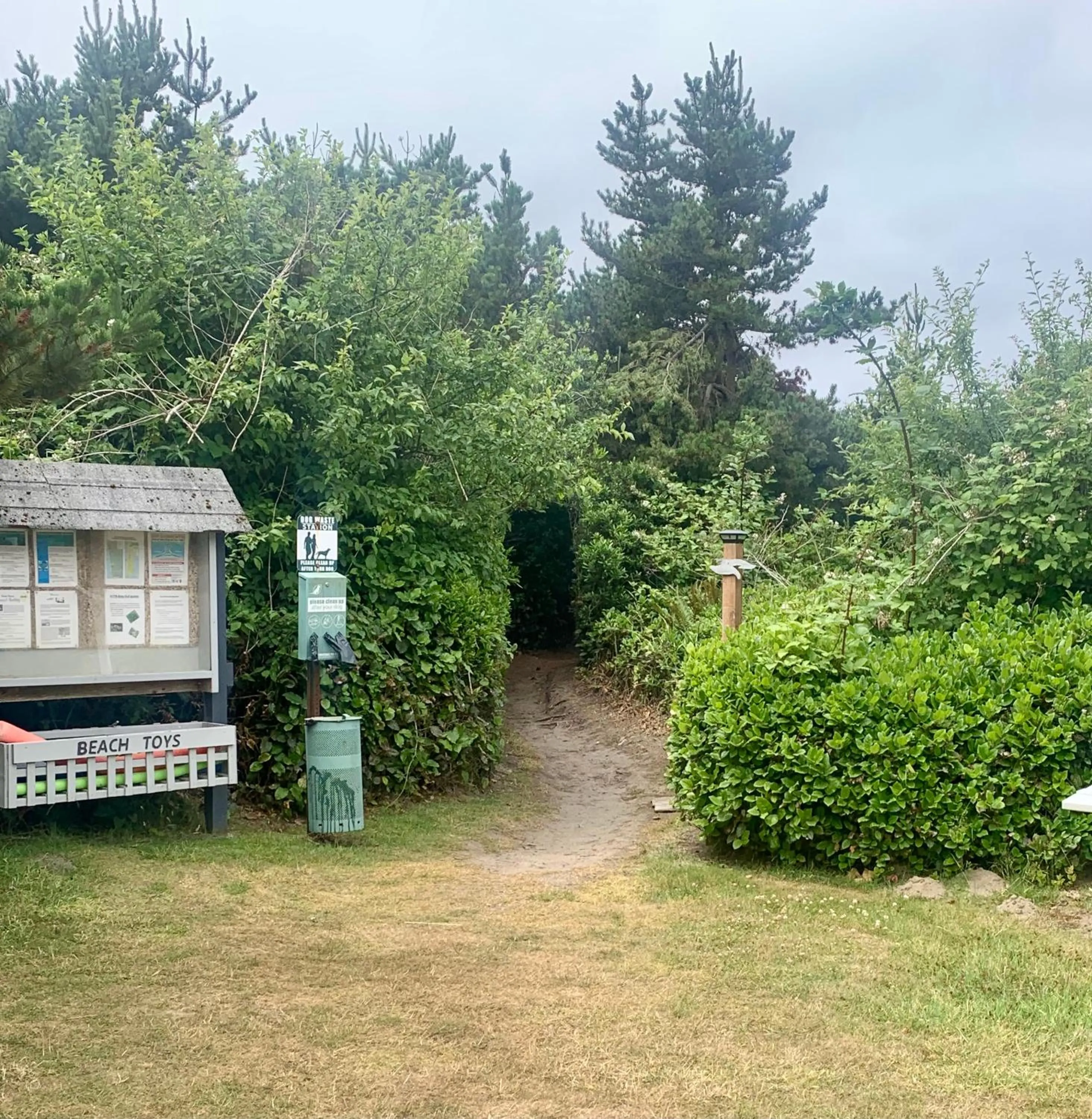 Natural landscape in Grey Gull