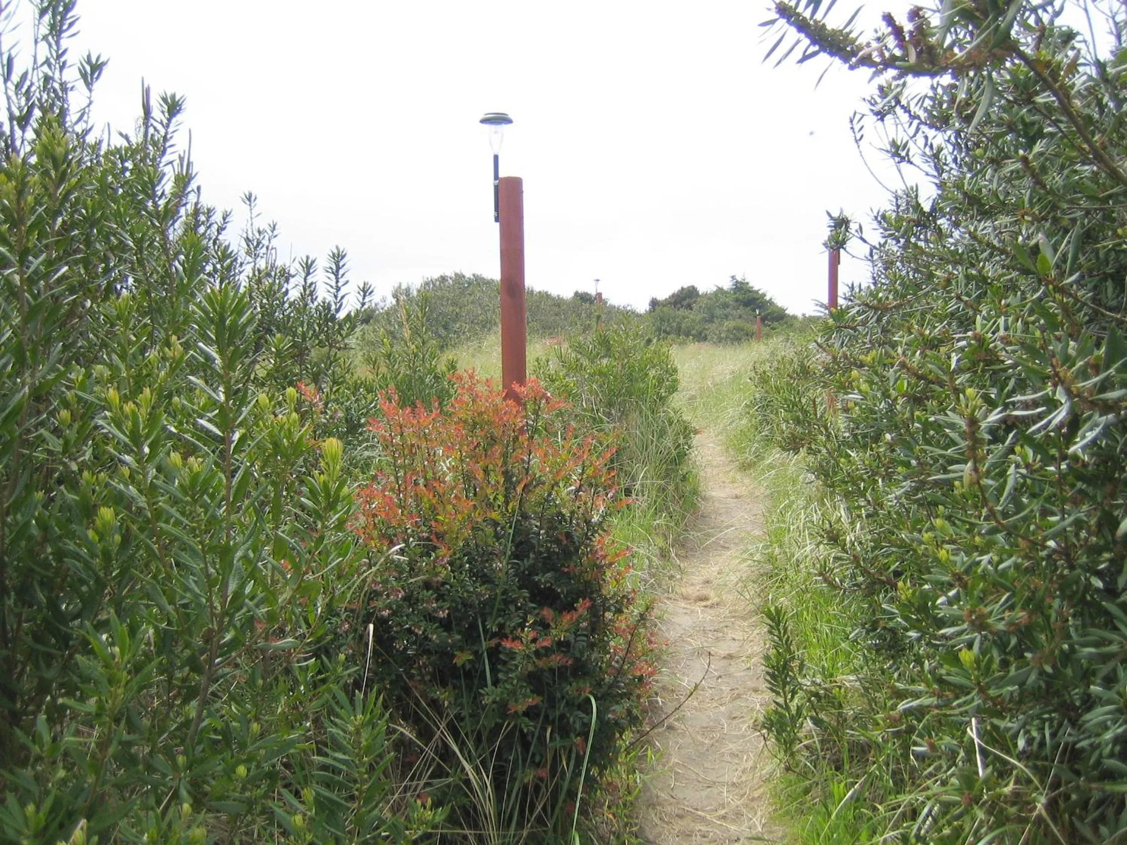 Natural landscape in Grey Gull