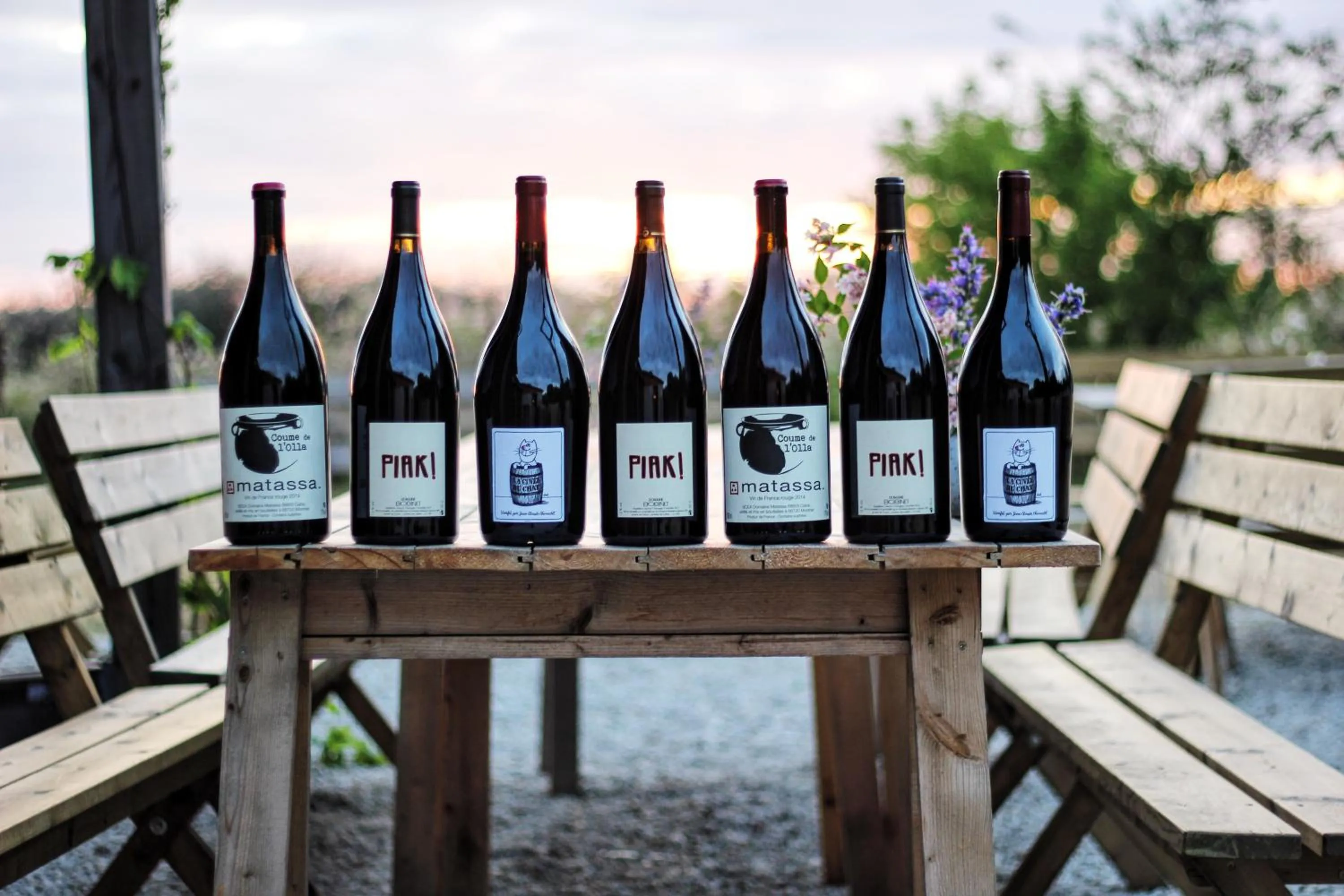 Restaurant/places to eat in Hotel Stelor