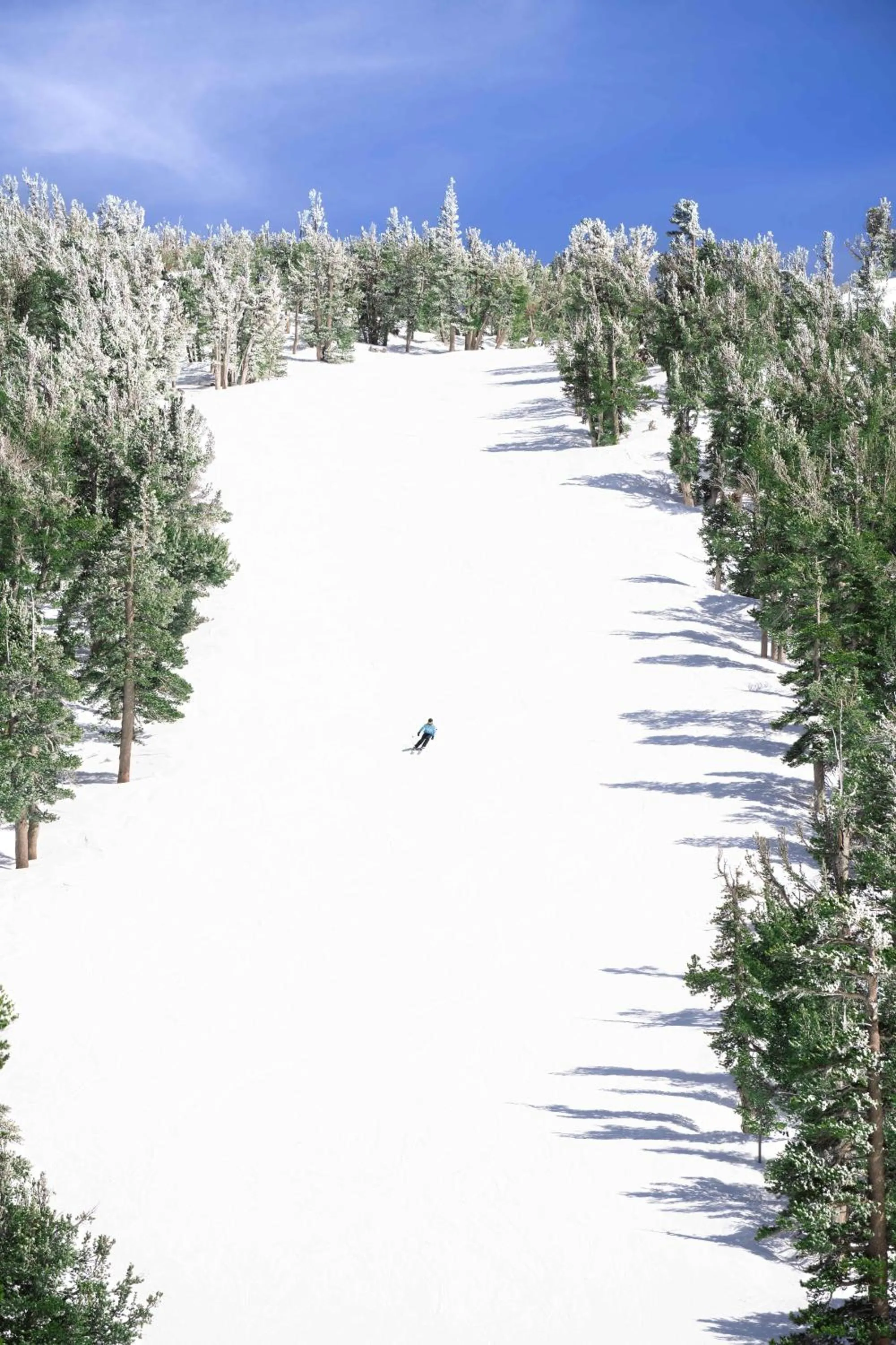 Day in Margaritaville Resort Lake Tahoe