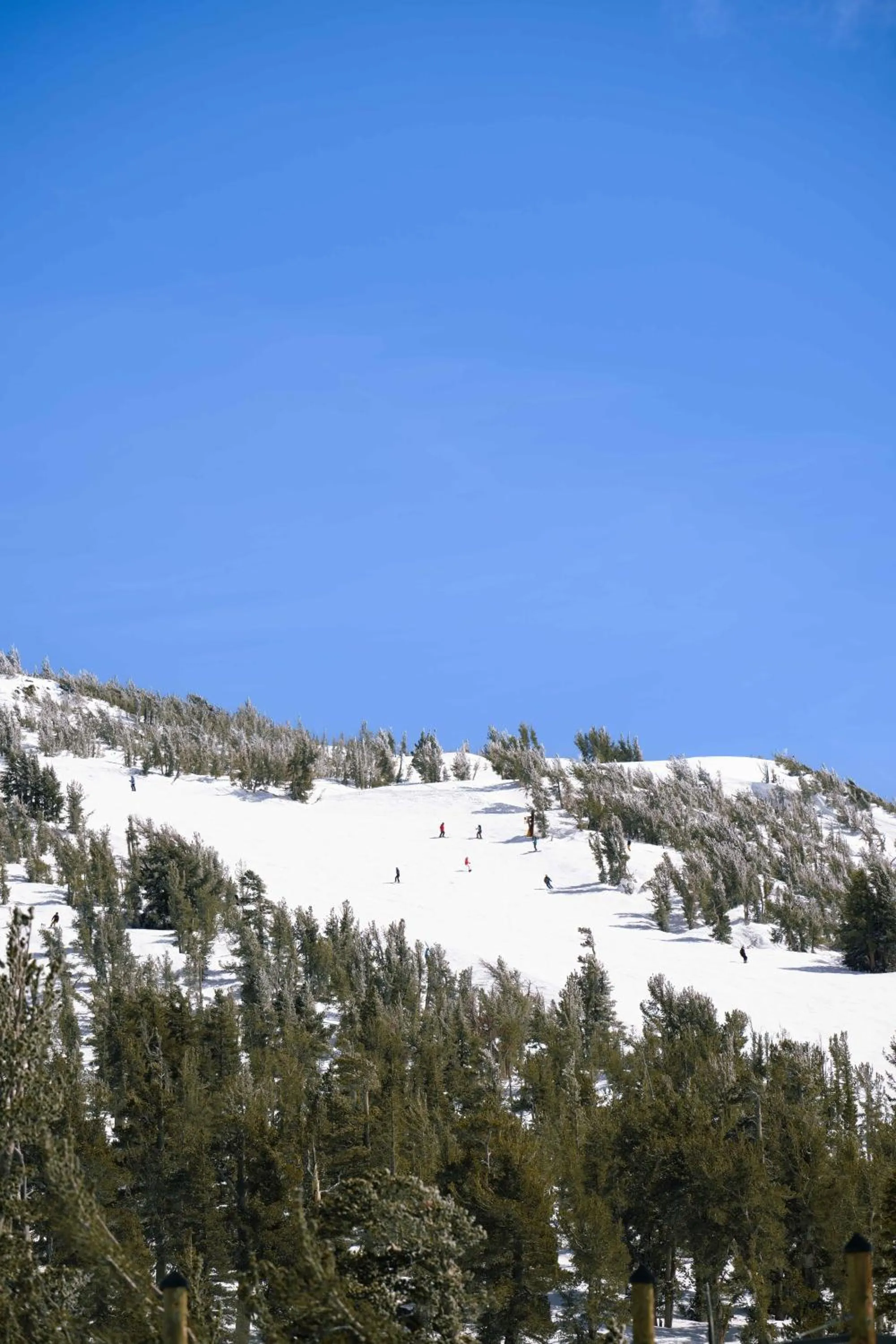 Day in Margaritaville Resort Lake Tahoe