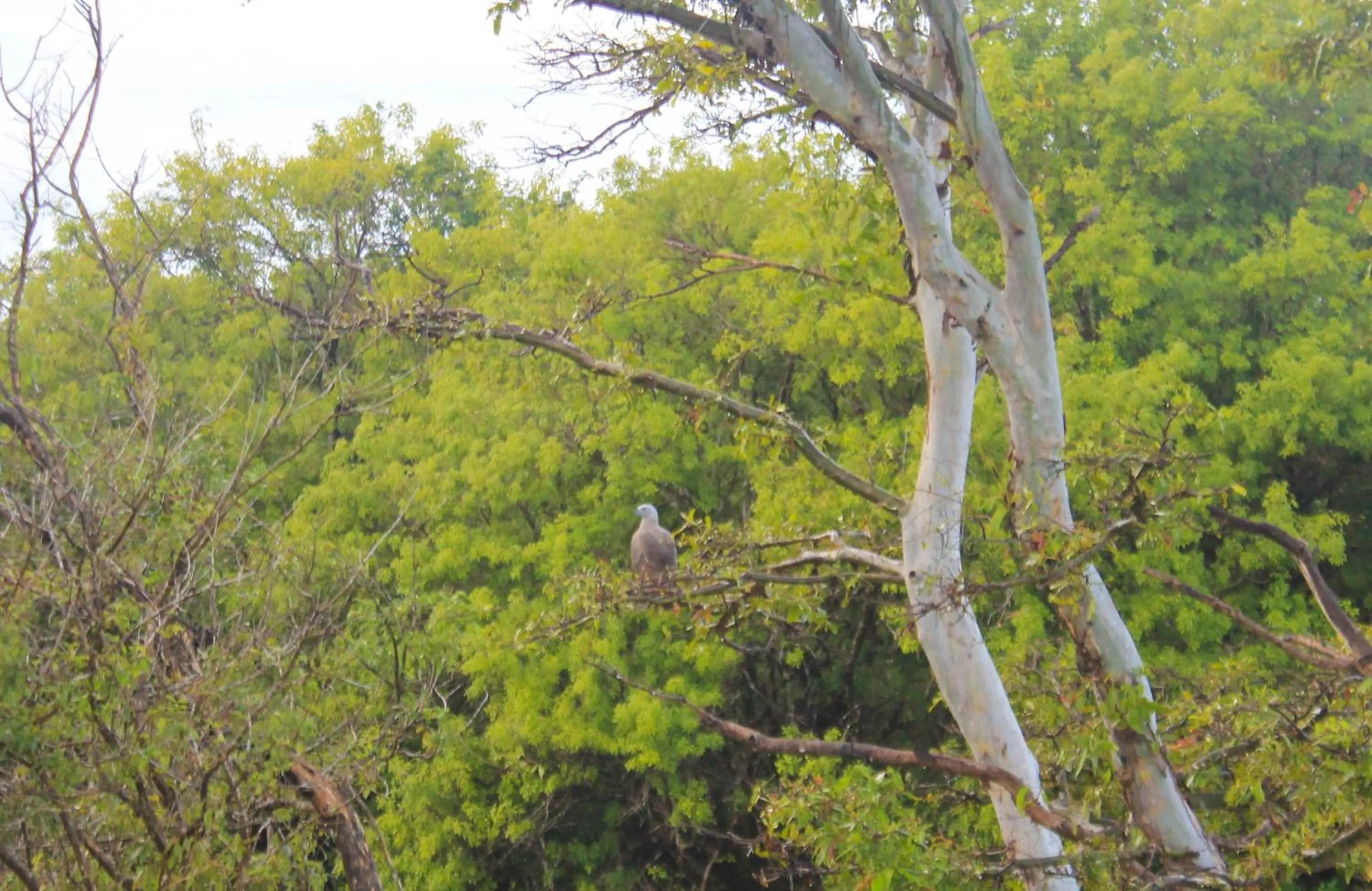 Natural landscape in Camellia Resort And Spa