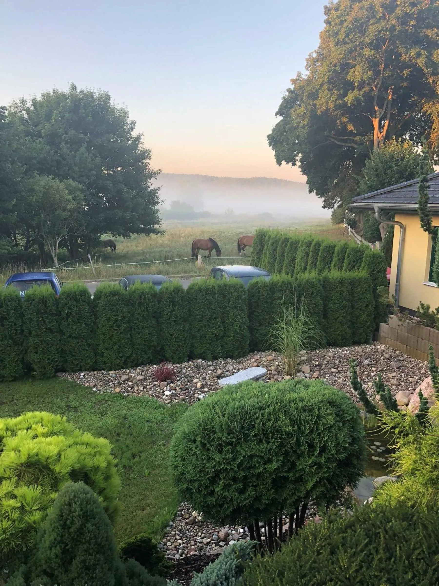 View (from property/room) in Ferienwohnung Altenberg 02