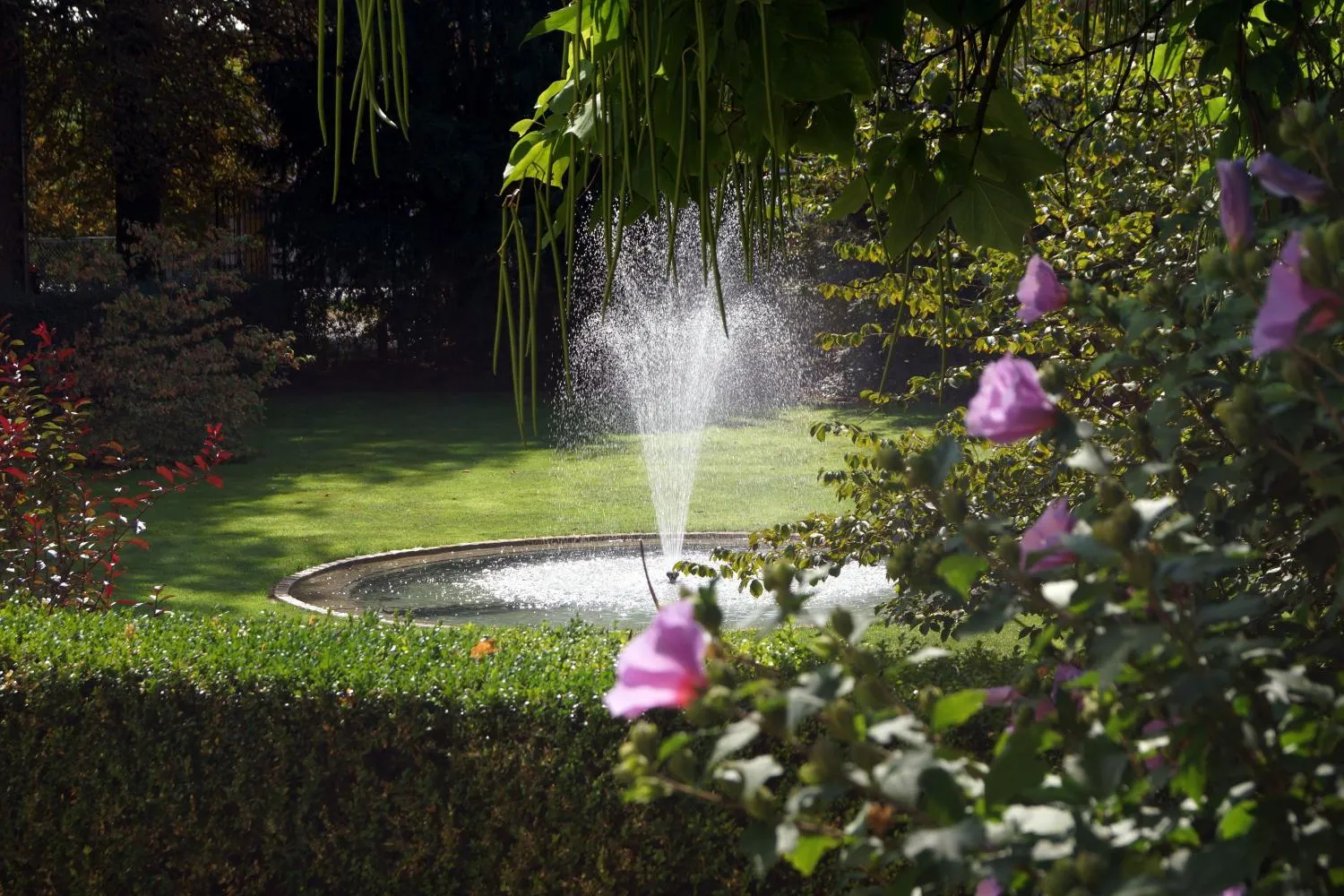 Garden in Hotel Villa Wittstock