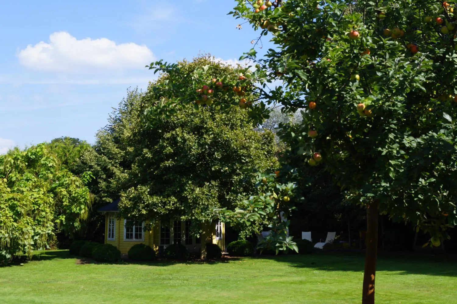 BBQ facilities in Hotel Villa Wittstock