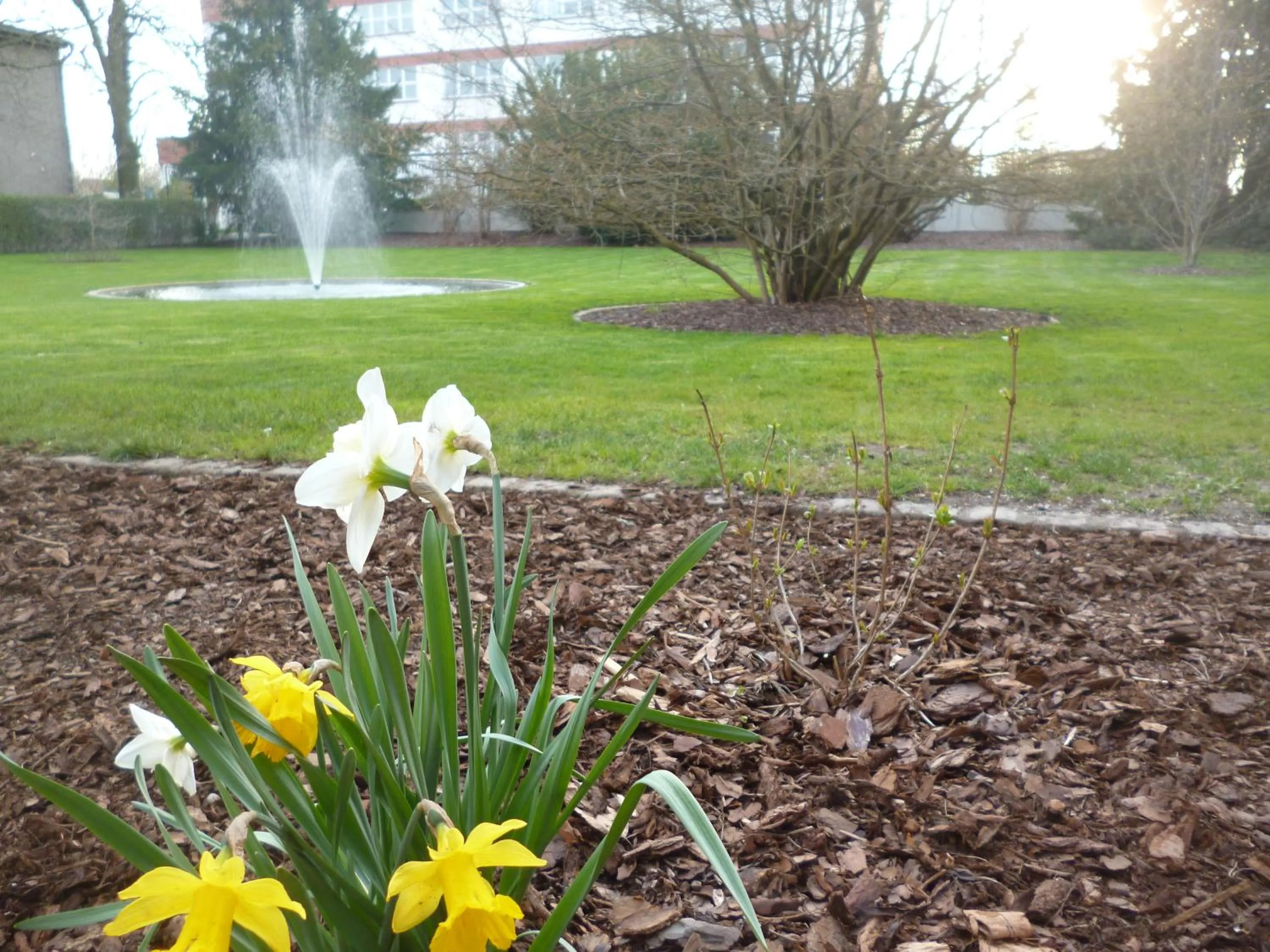 Garden in Hotel Villa Wittstock