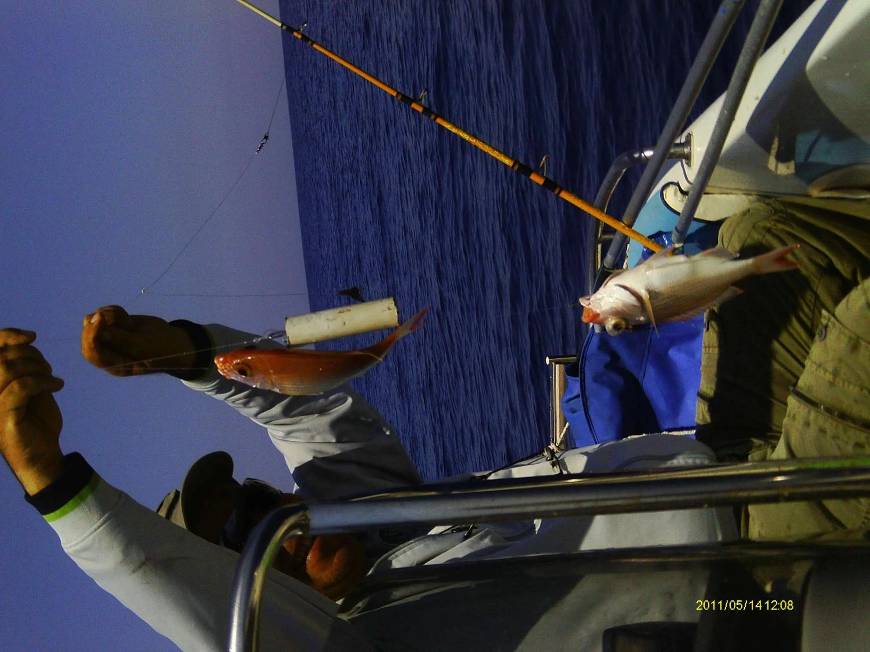 Fishing in Irinoula Dreams