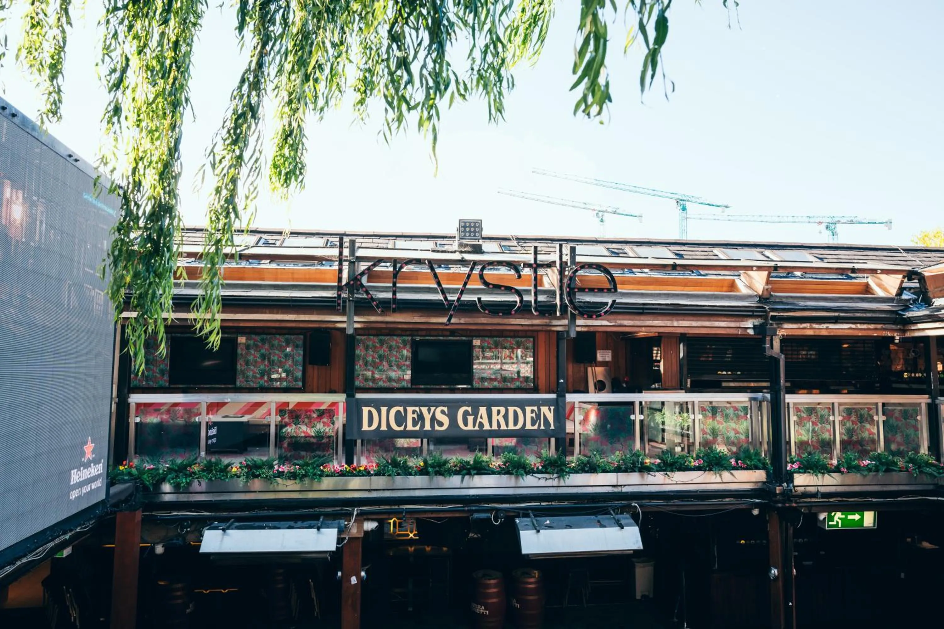 Nightclub / DJ in Russell Court Hotel