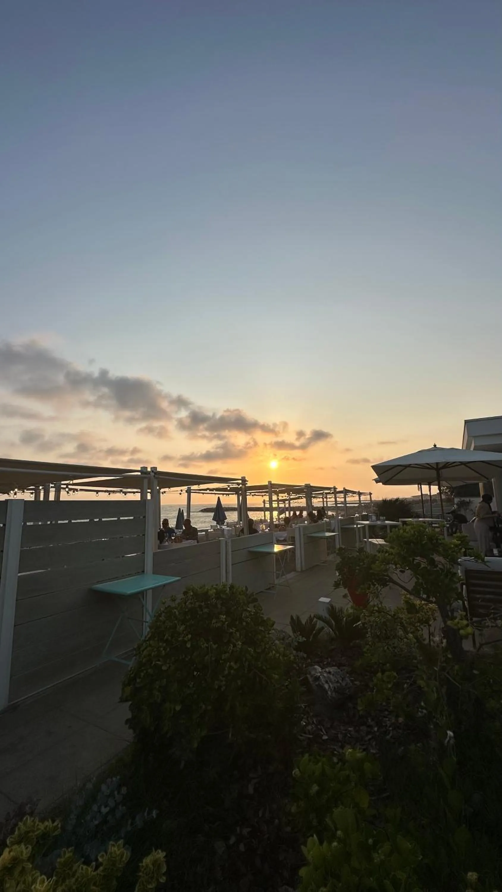 Restaurant/places to eat in Hotel Stella Marina