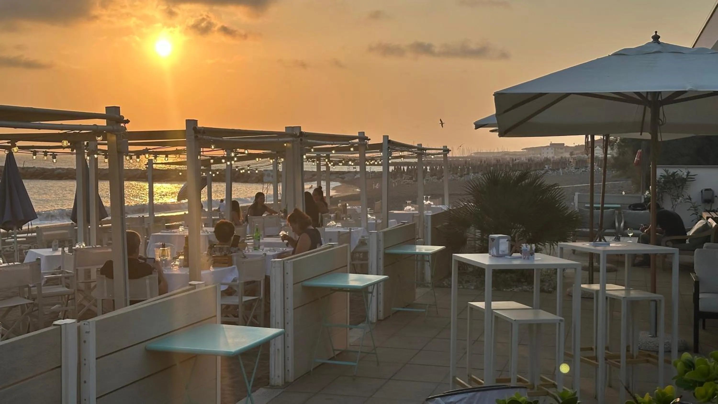 Restaurant/places to eat in Hotel Stella Marina