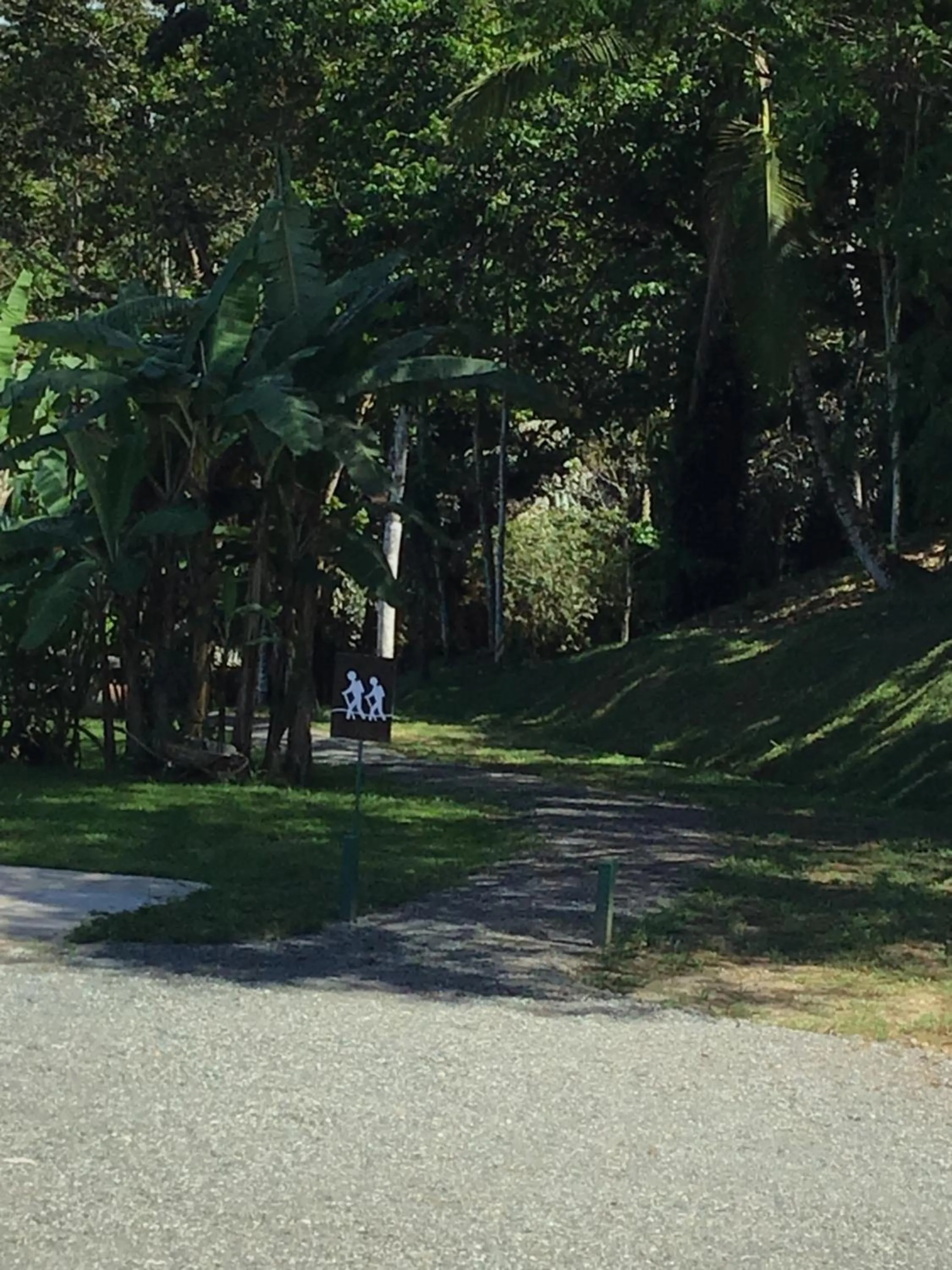 On site in Hotel Los Cielos Del Caribe