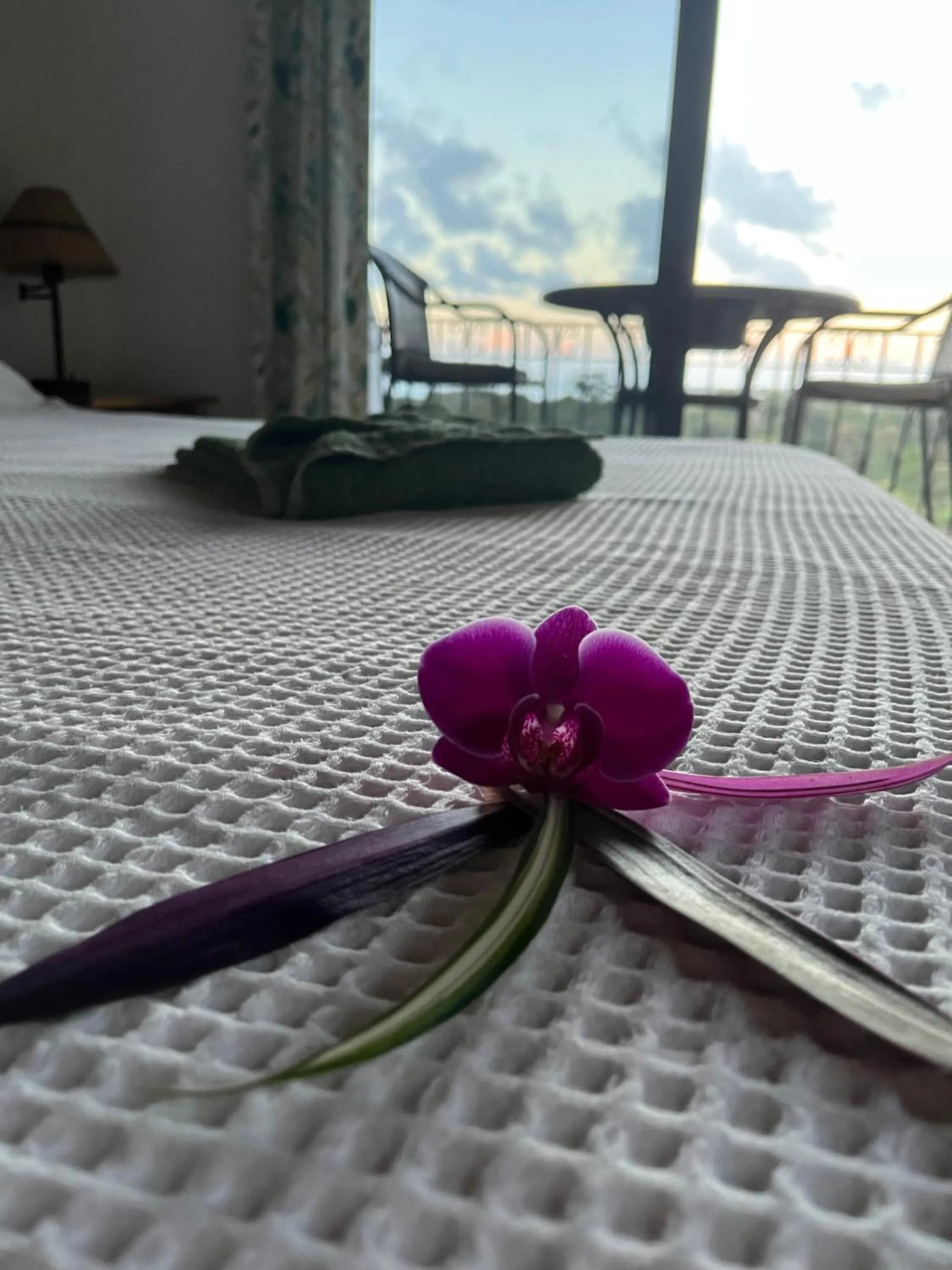 Hotel Los Cielos Del Caribe