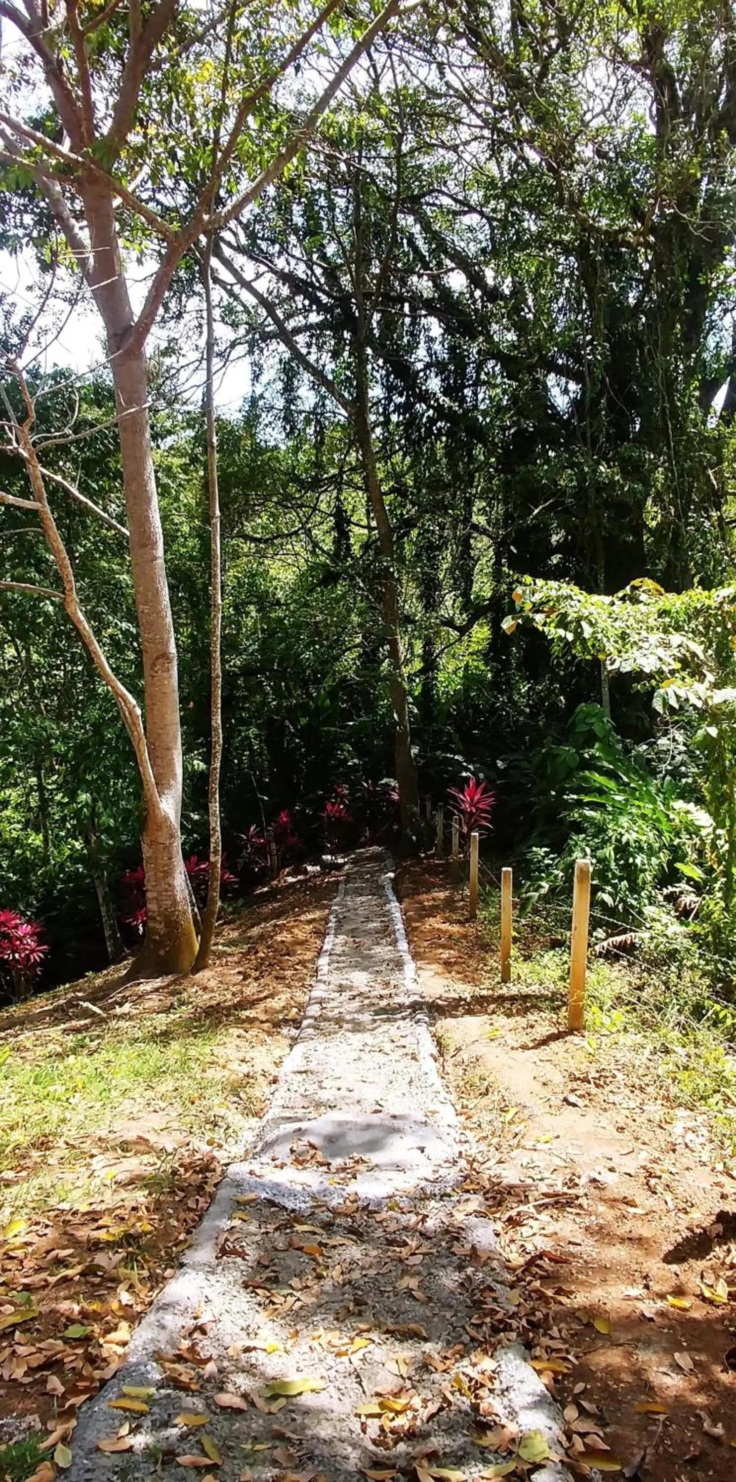 Hotel Los Cielos Del Caribe