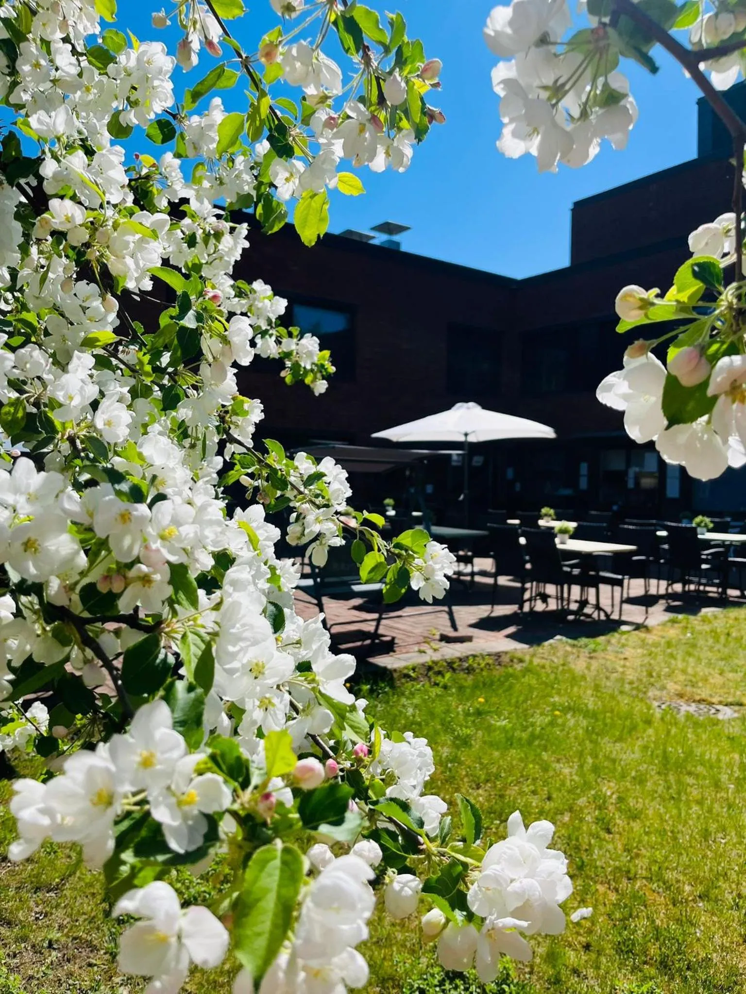 Balcony/Terrace in Hotel Haaga Central Park