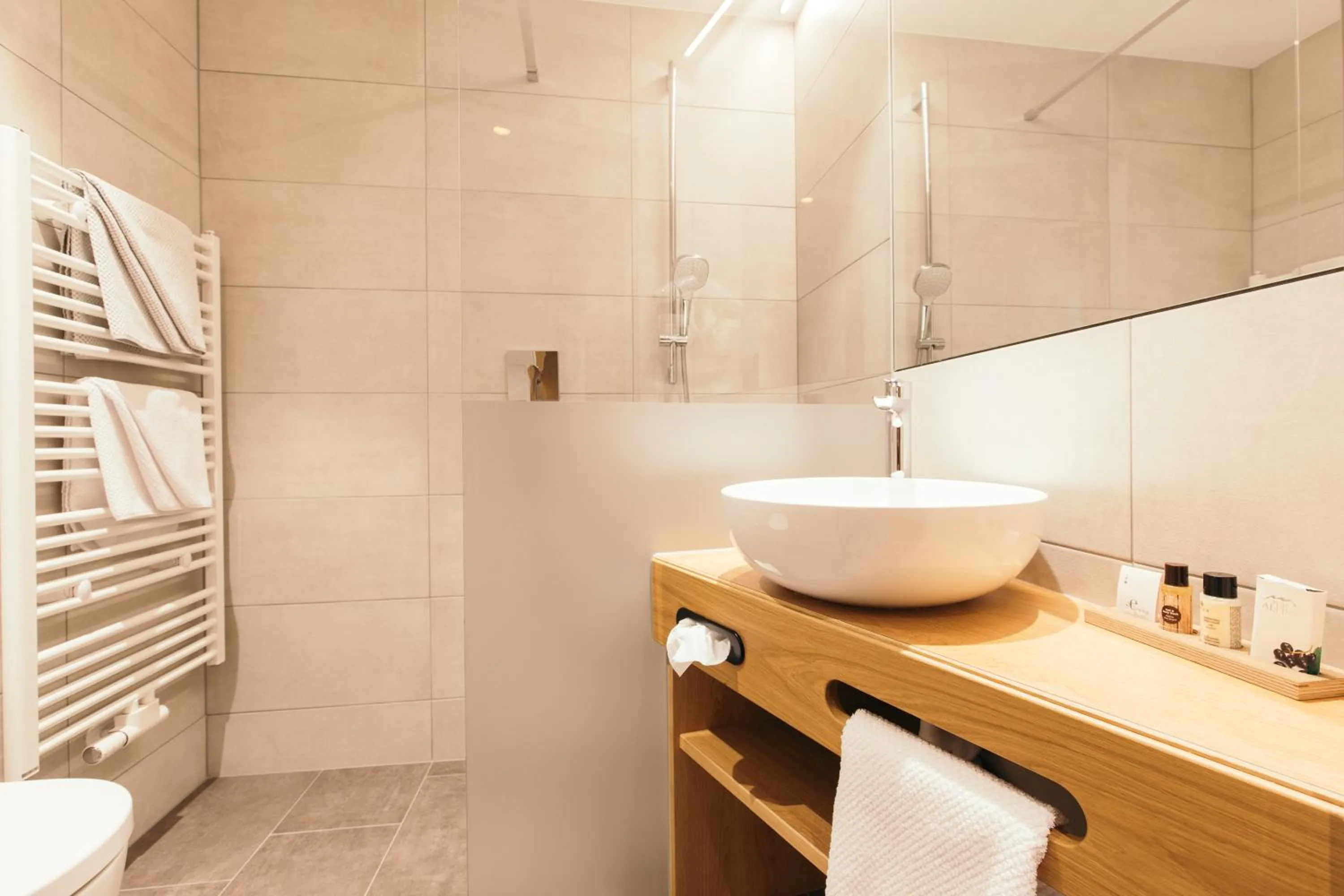 Bathroom in Hotel Weisseespitze