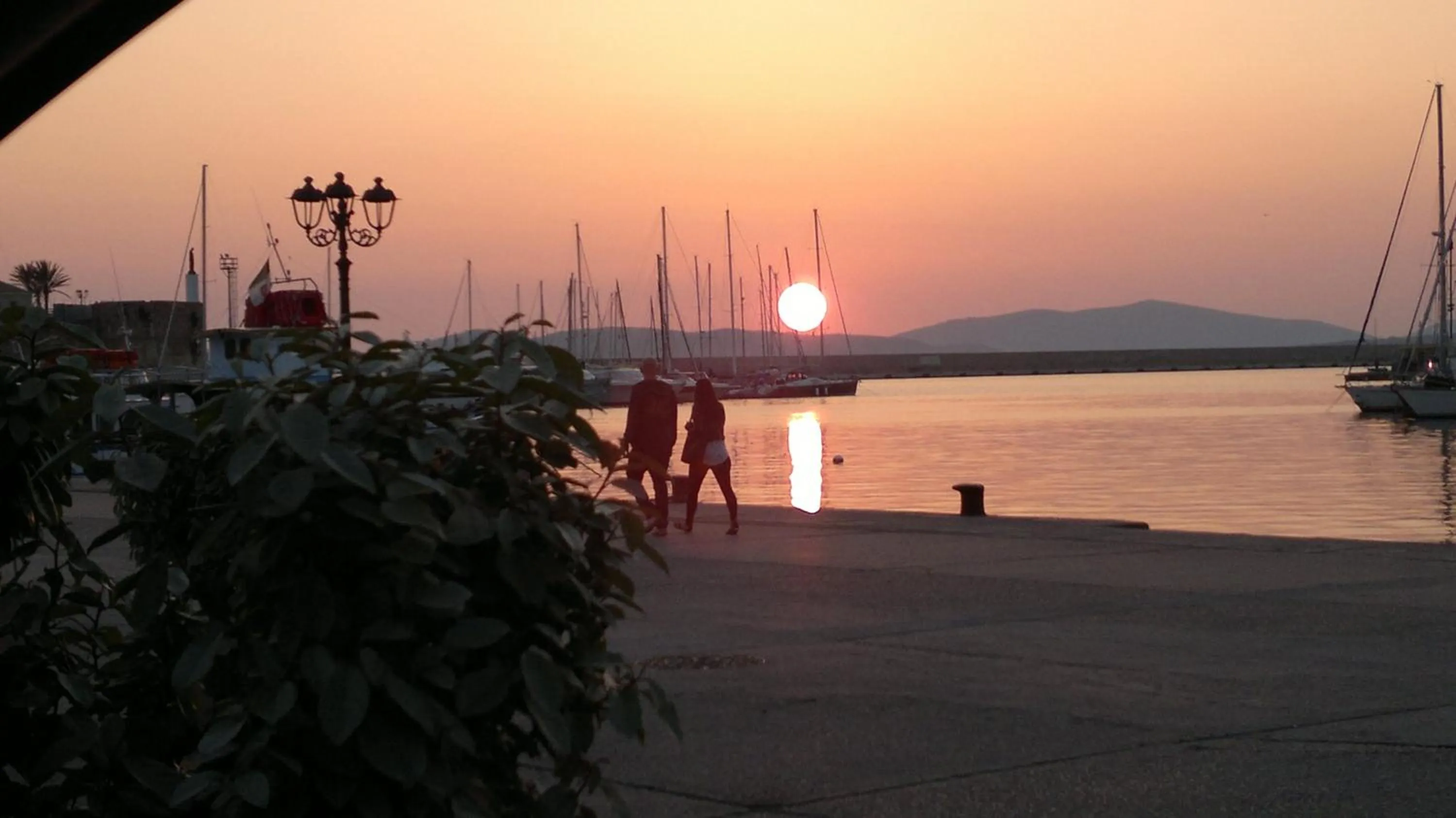 Natural landscape in B&B Jamba