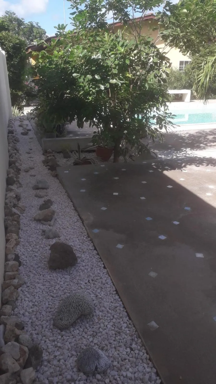 Swimming pool in Happy Turtle Apartments