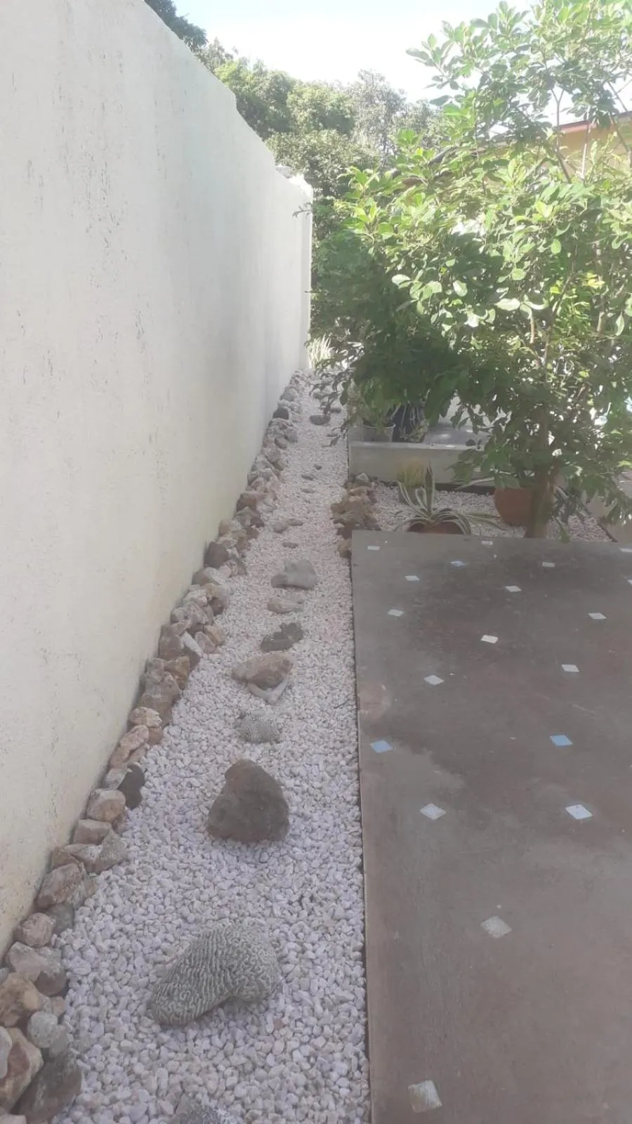 Swimming pool in Happy Turtle Apartments