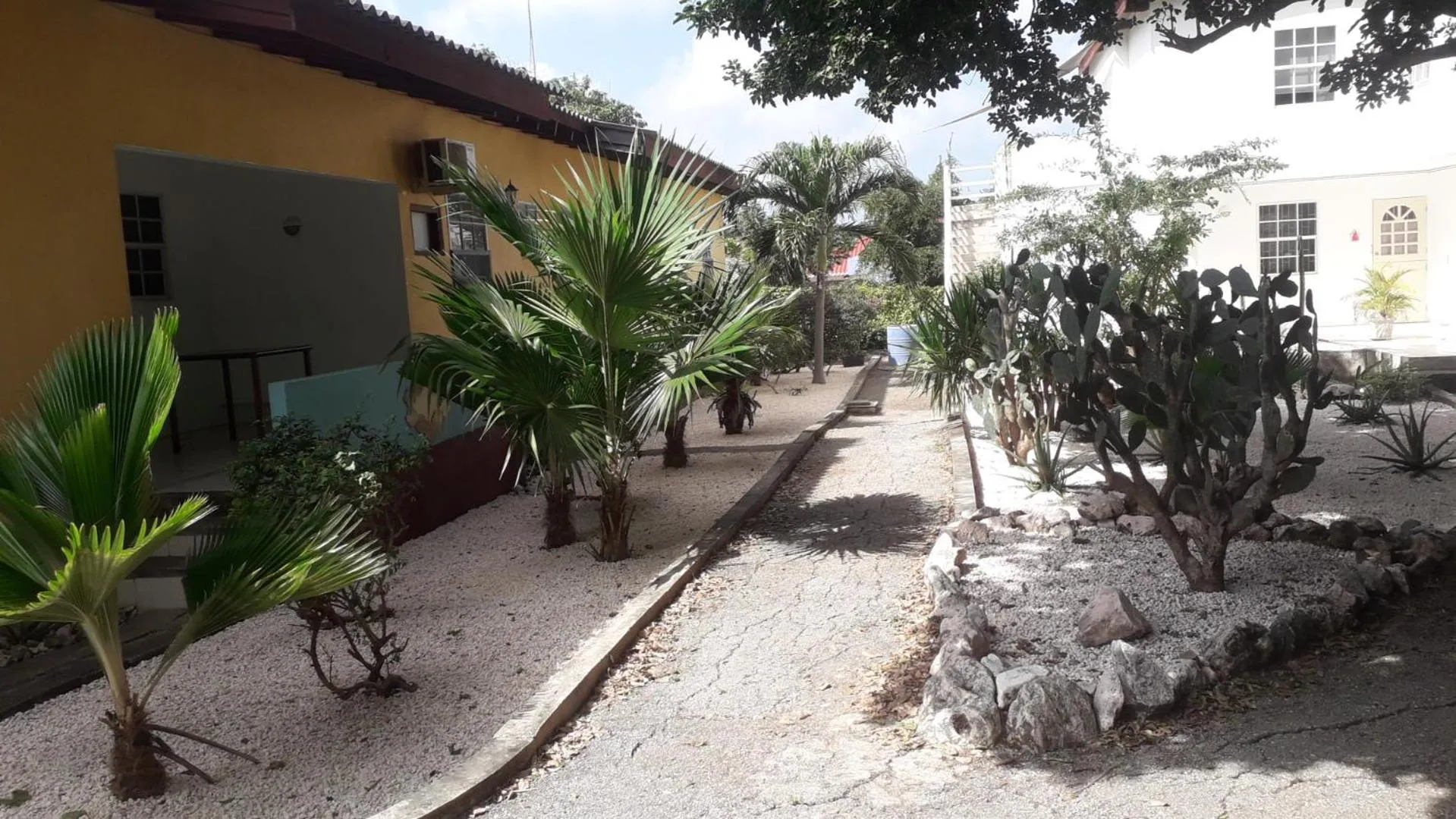 Garden in Happy Turtle Apartments