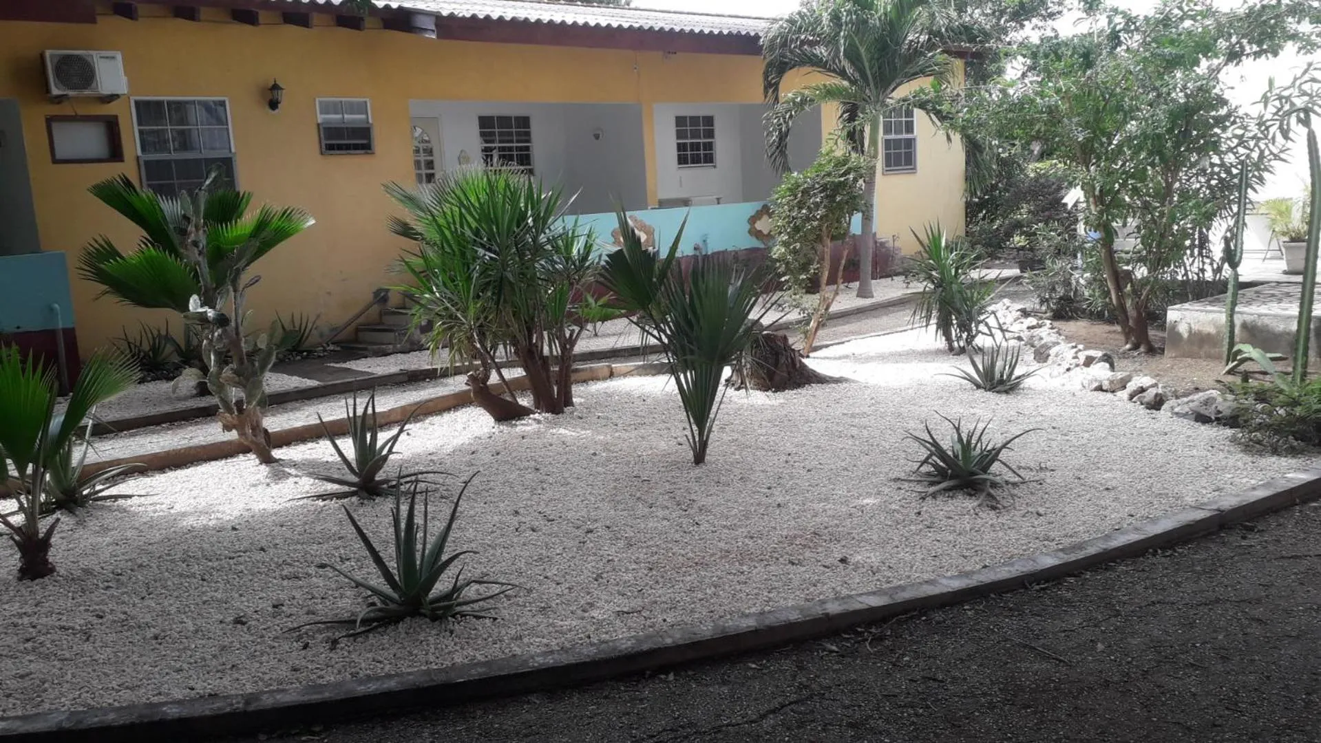 Garden in Happy Turtle Apartments